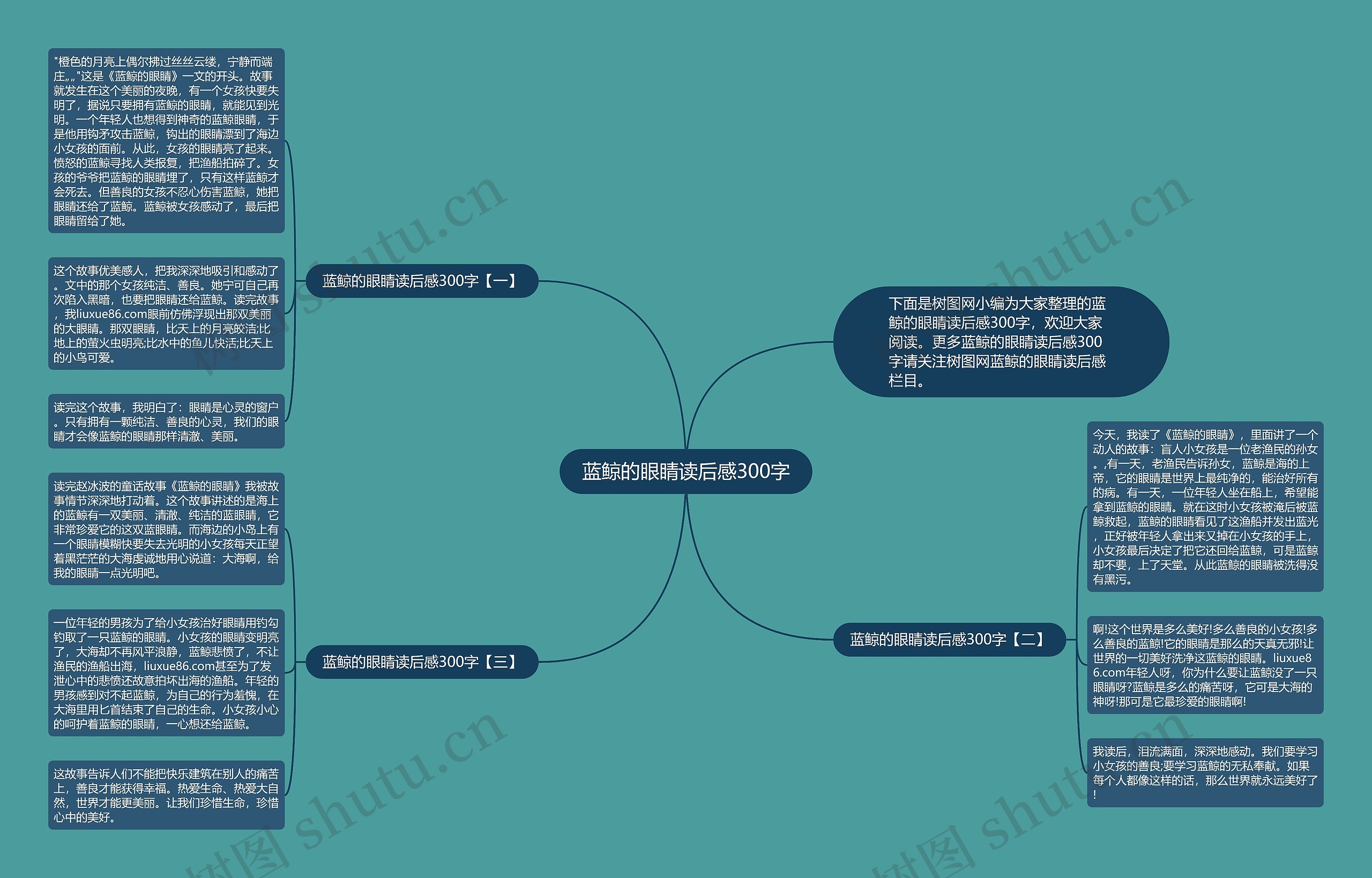 蓝鲸的眼睛读后感300字思维导图