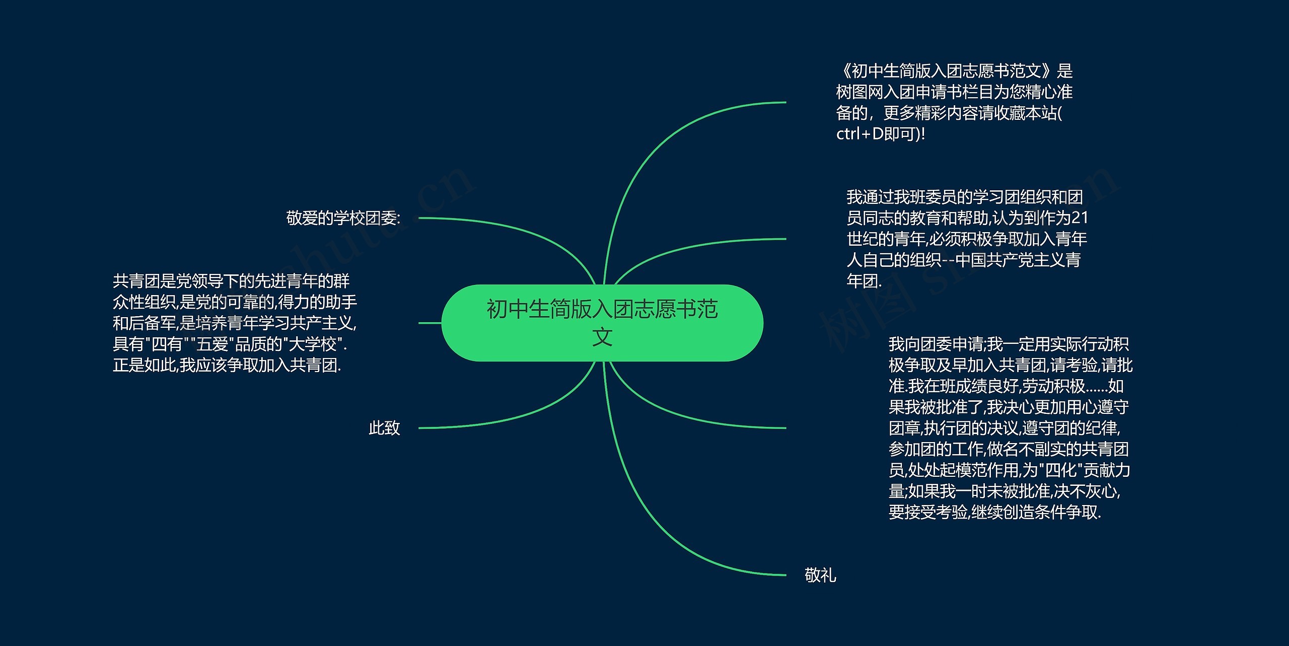 初中生简版入团志愿书范文