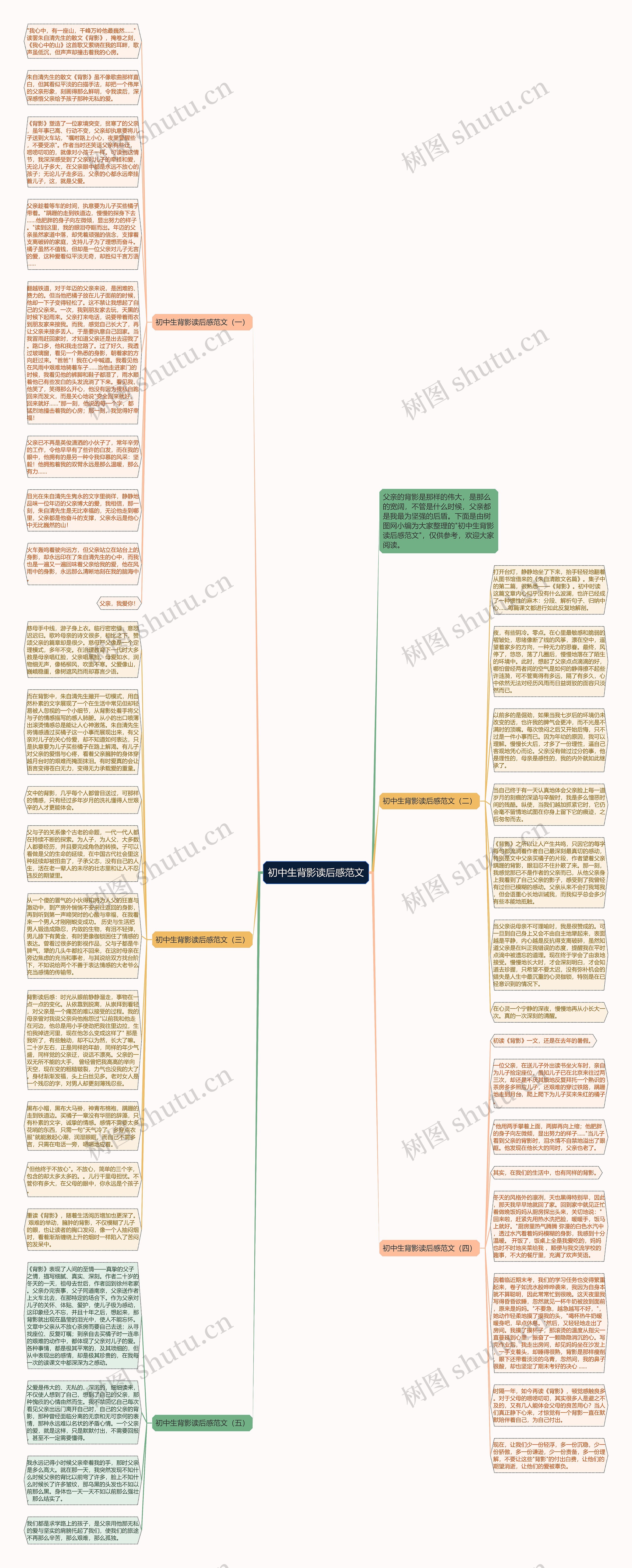 初中生背影读后感范文思维导图