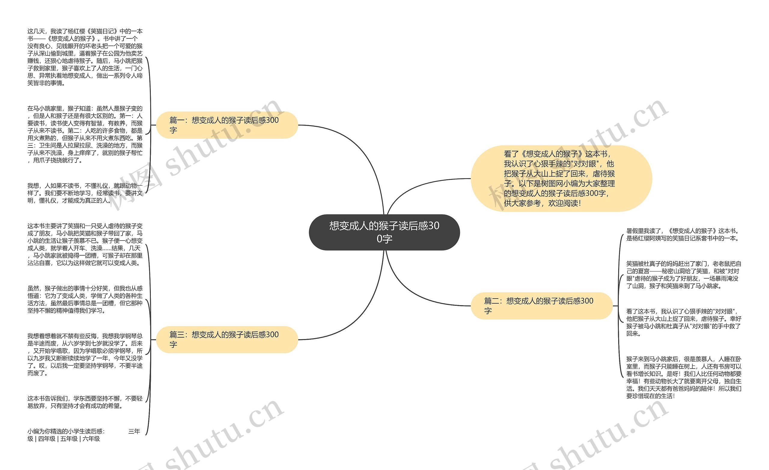 想变成人的猴子读后感300字思维导图