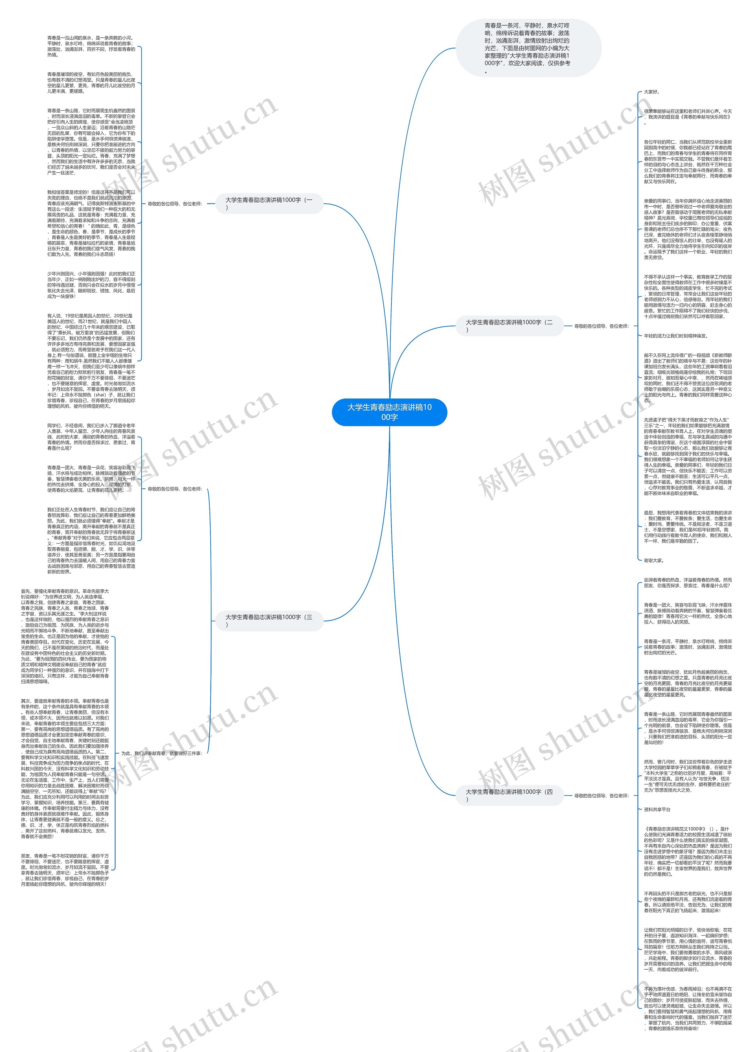 大学生青春励志演讲稿1000字思维导图