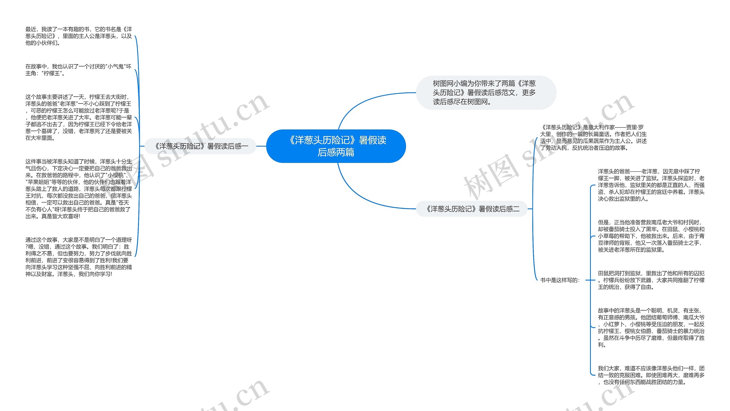 《洋葱头历险记》暑假读后感两篇思维导图