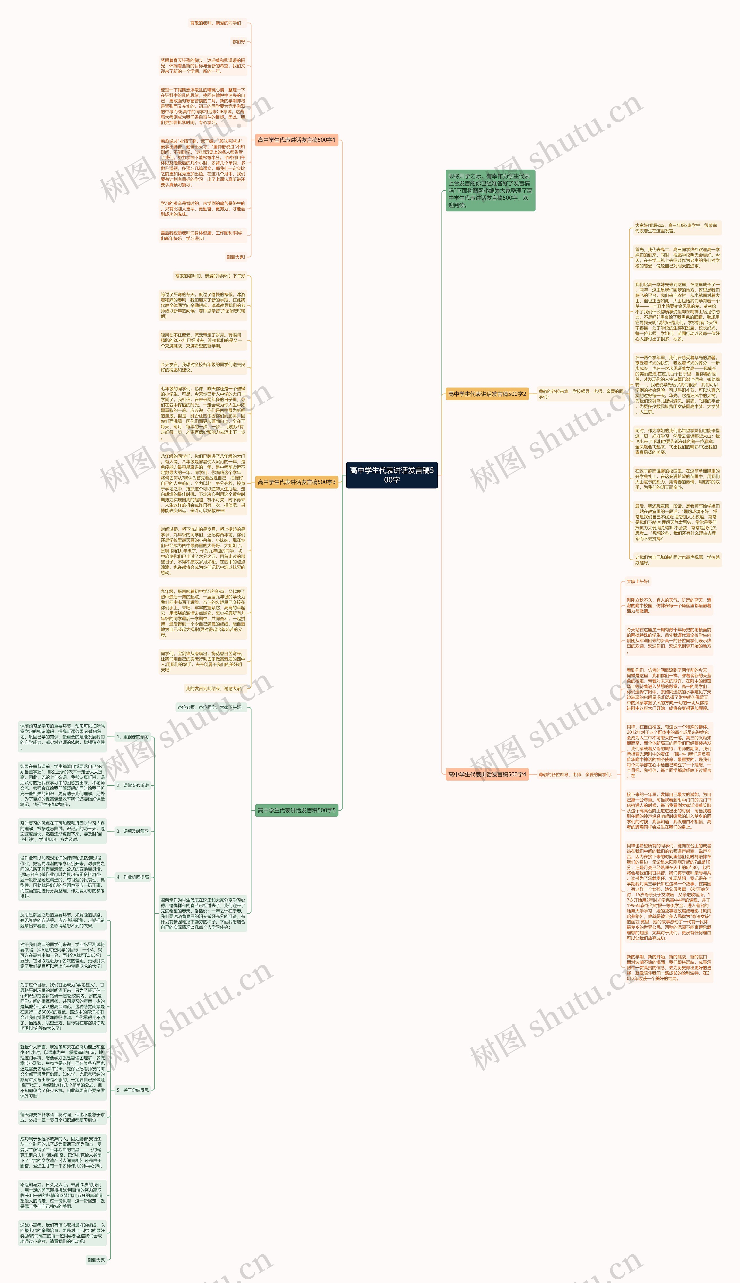 高中学生代表讲话发言稿500字思维导图