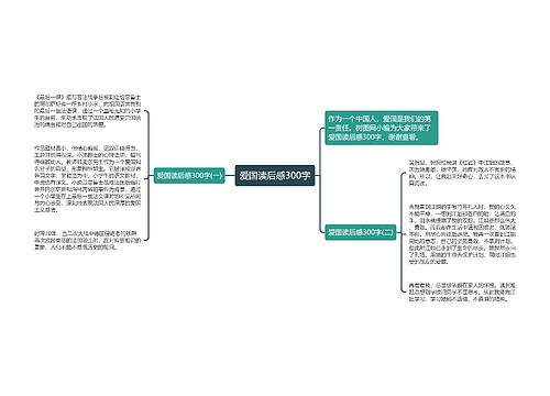 爱国读后感300字