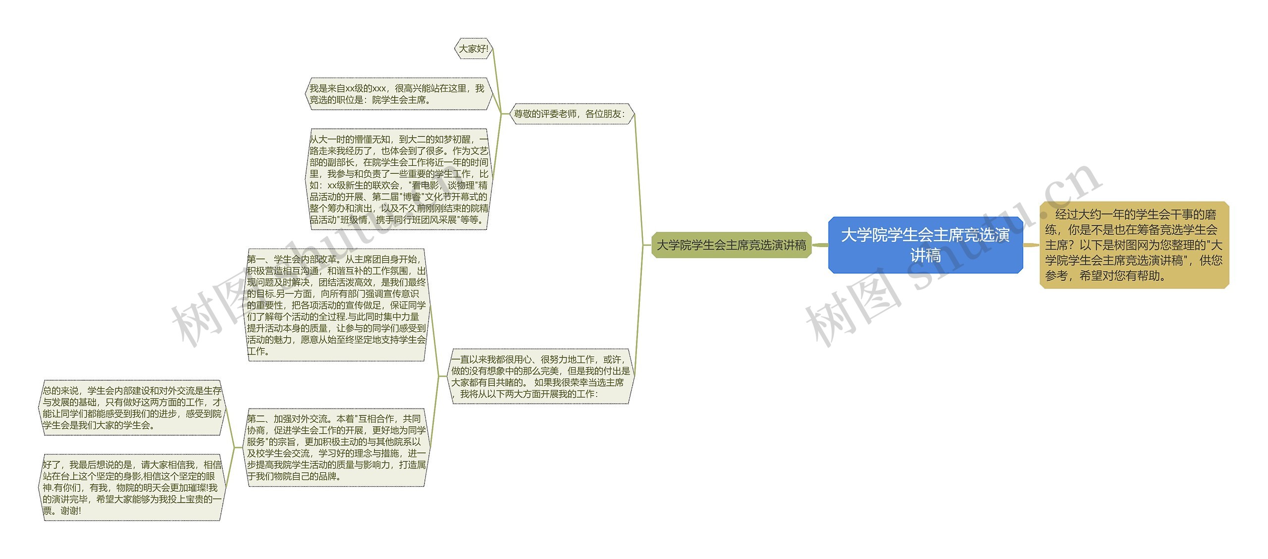 大学院学生会主席竞选演讲稿思维导图