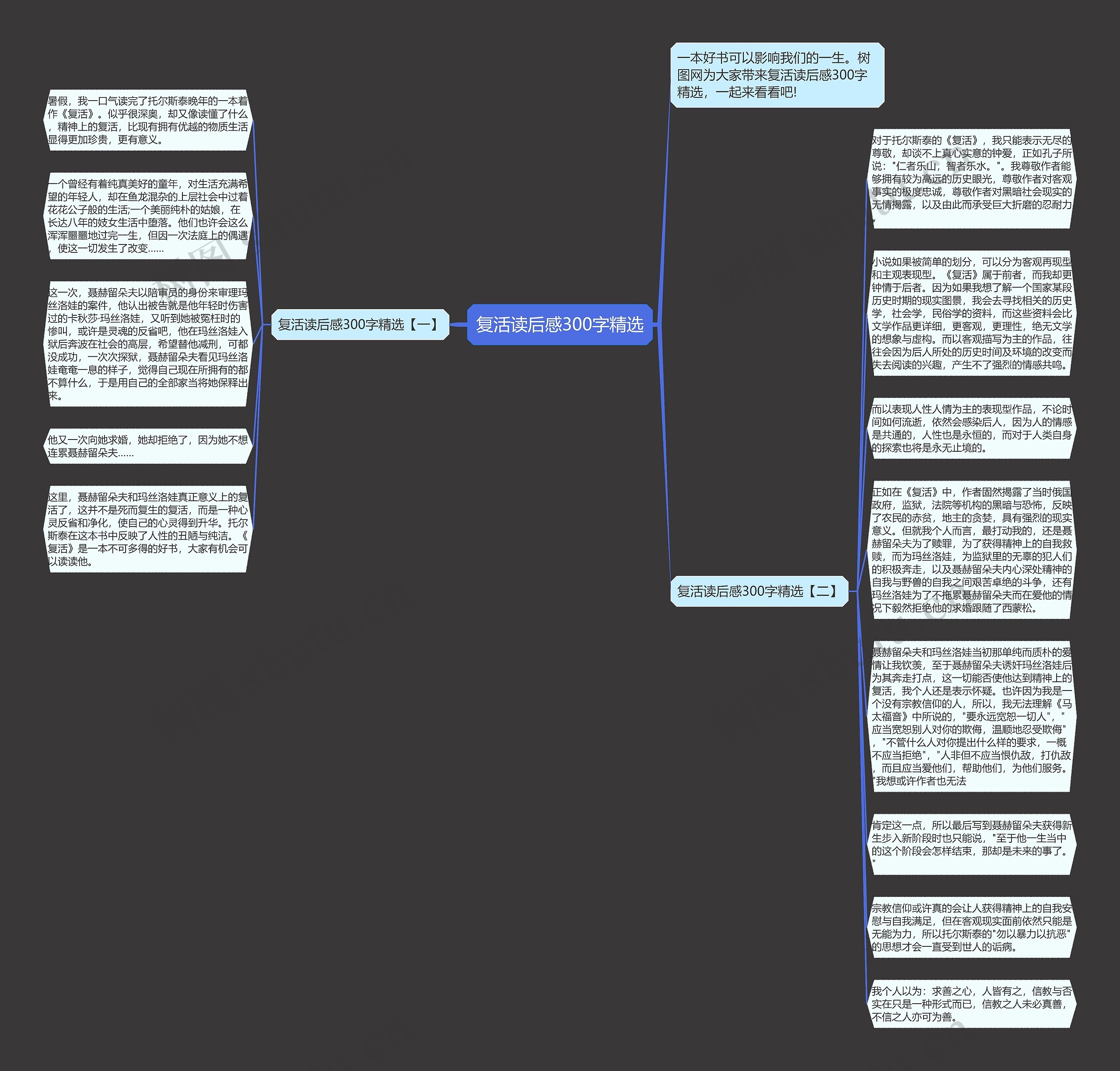 复活读后感300字精选思维导图