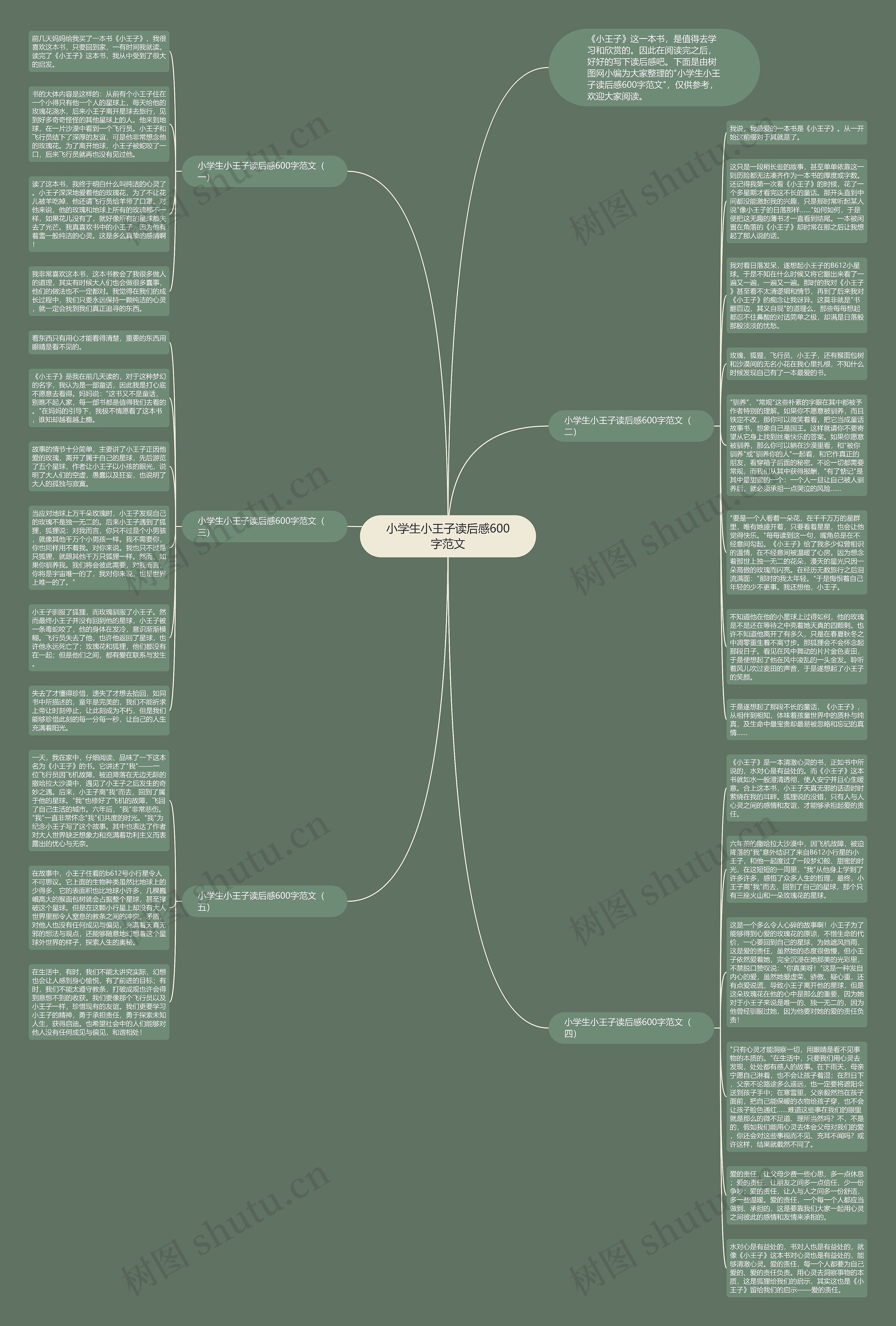 小学生小王子读后感600字范文思维导图