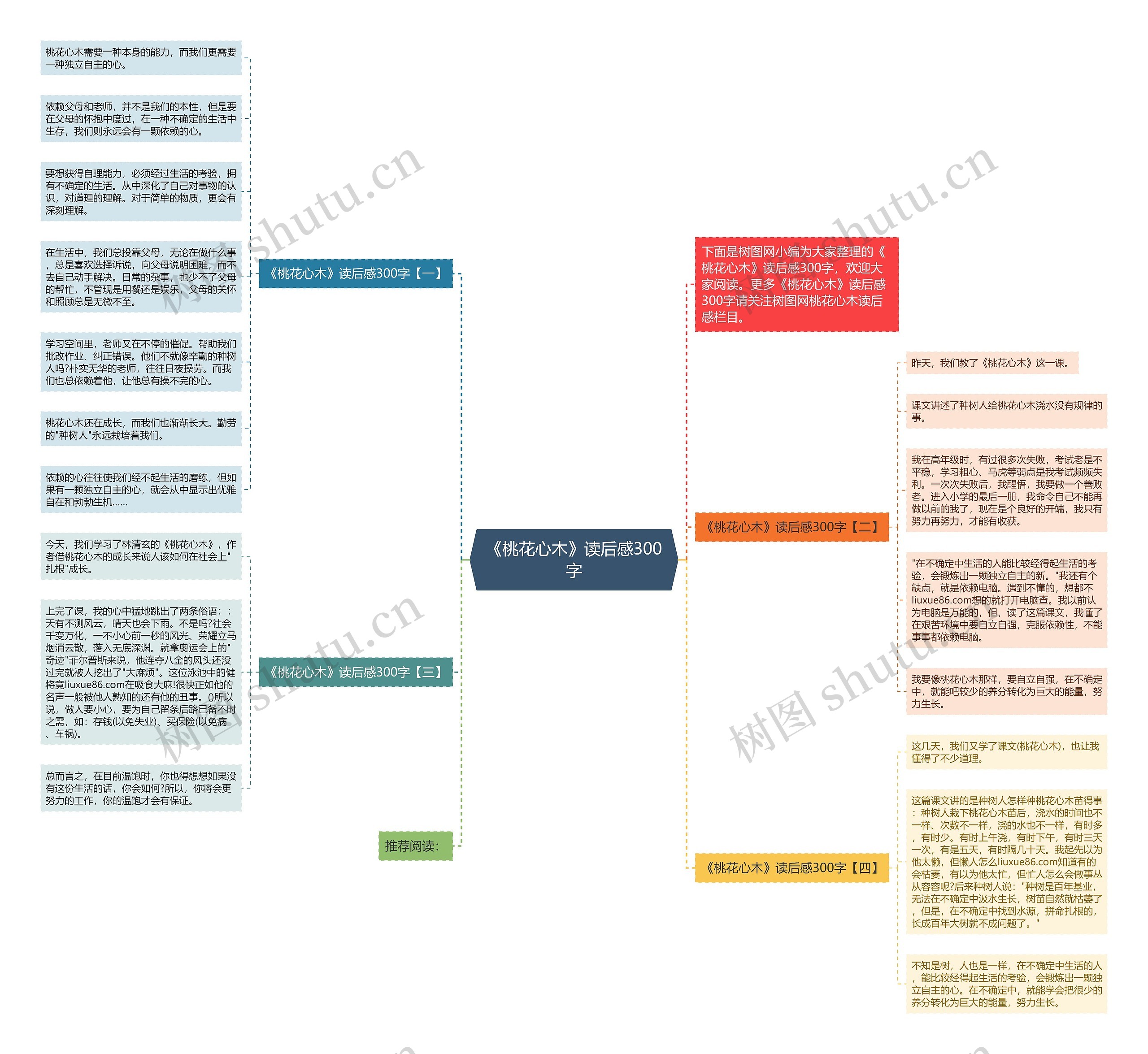 《桃花心木》读后感300字思维导图