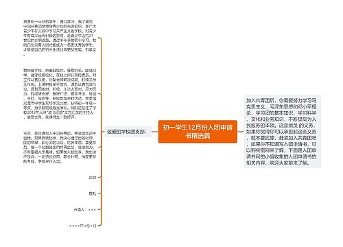 初一学生12月份入团申请书精选篇