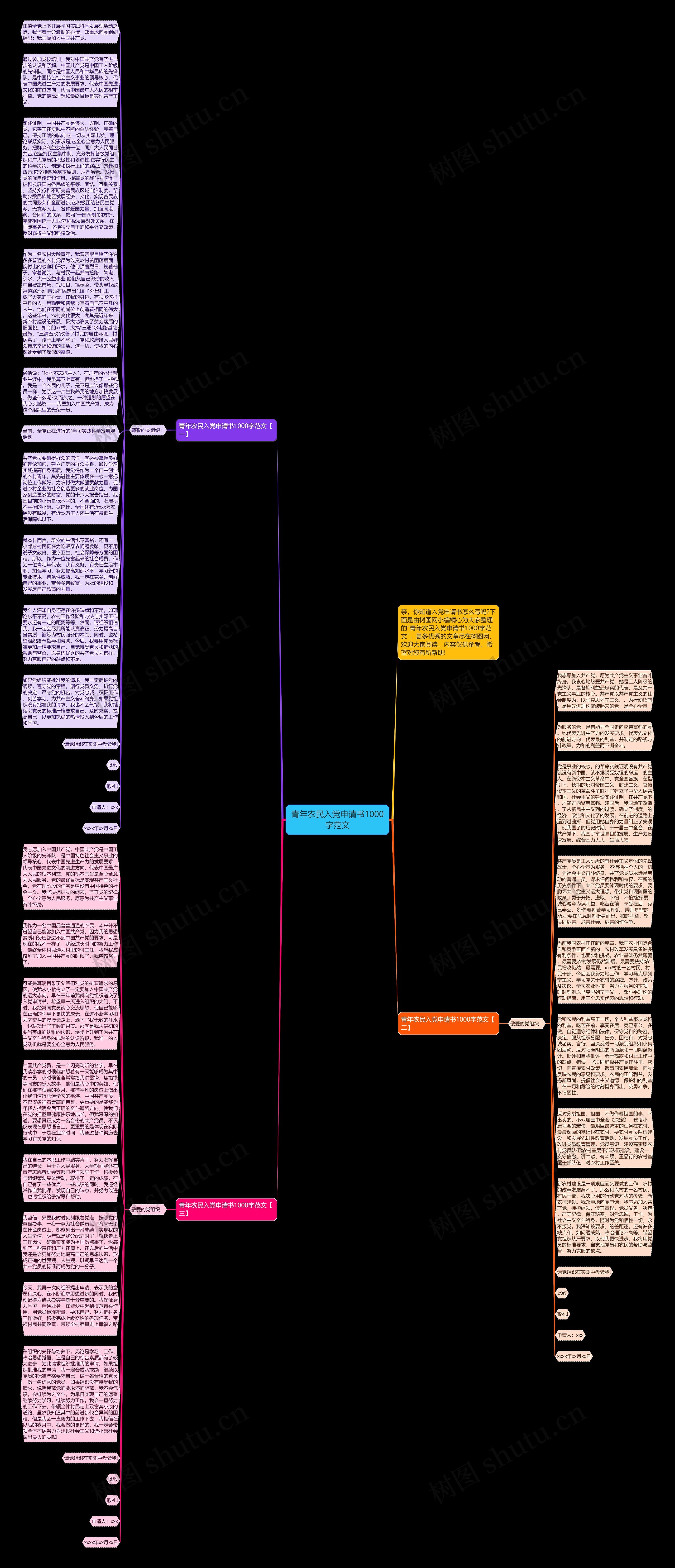 青年农民入党申请书1000字范文思维导图
