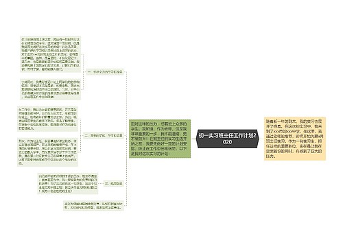 初一实习班主任工作计划2020