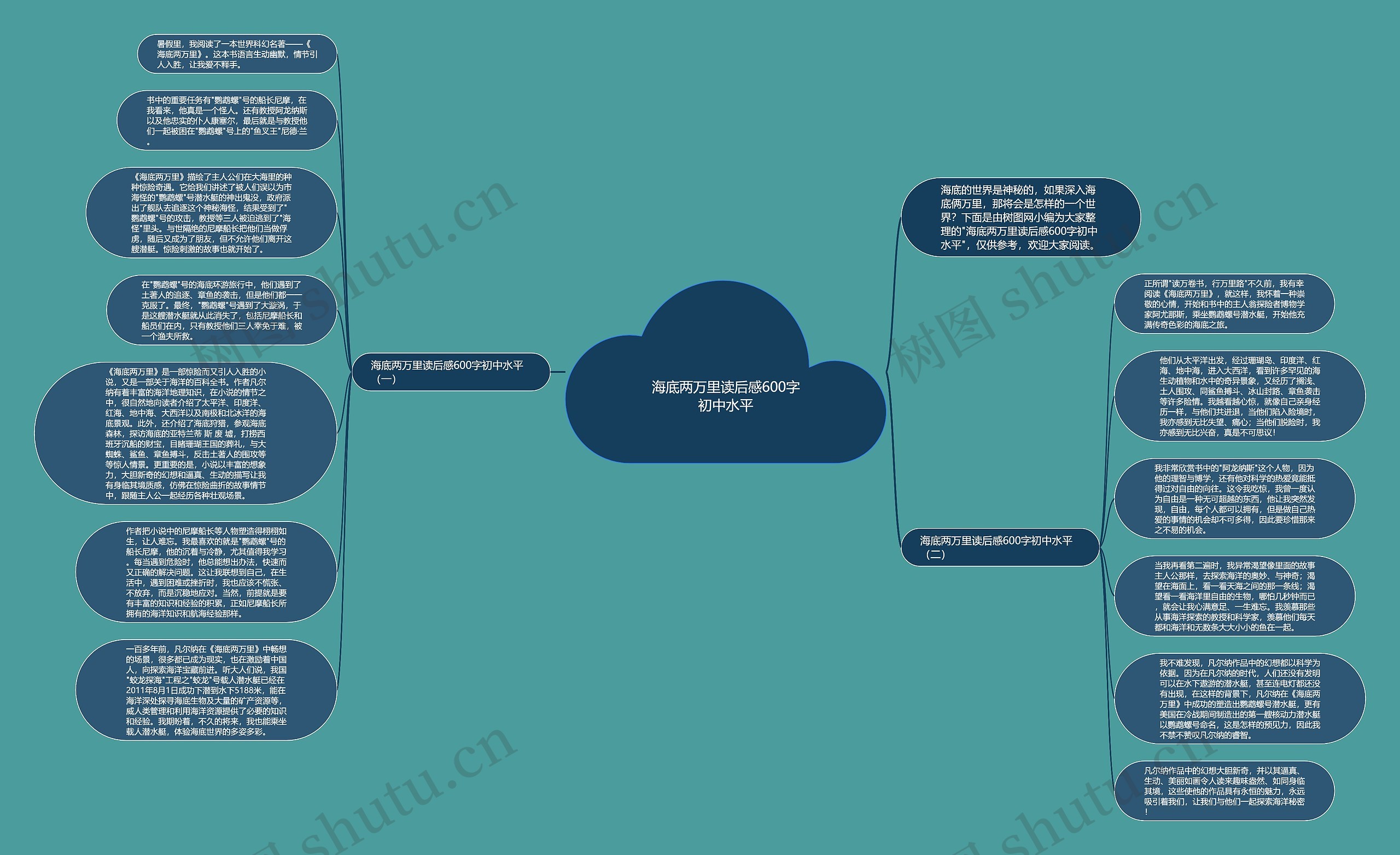 海底两万里读后感600字初中水平思维导图