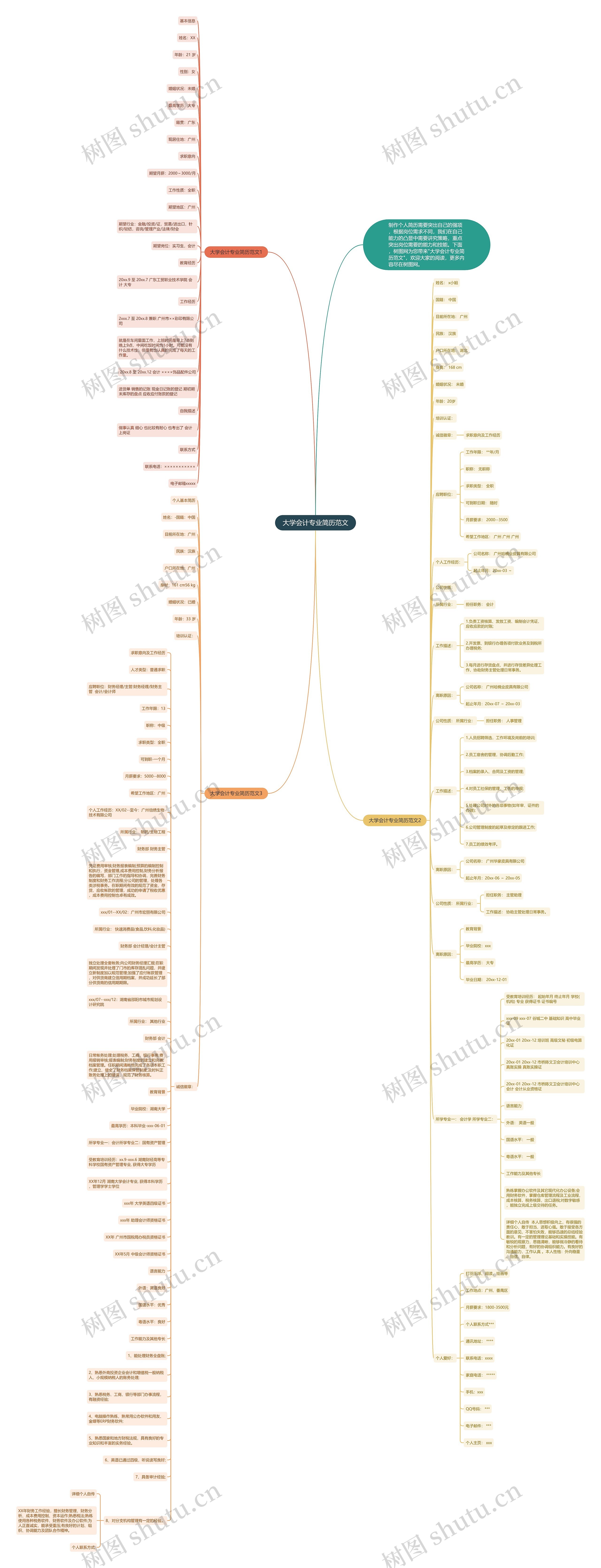大学会计专业简历范文思维导图