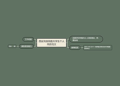 西安淘宝销售大学生个人简历范文