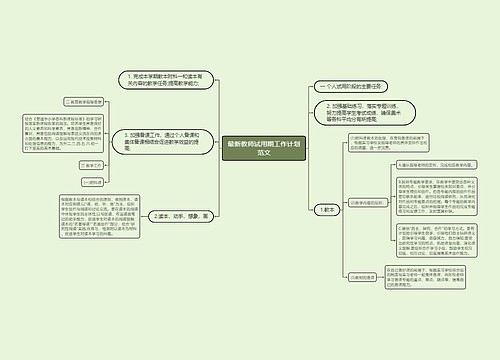 最新教师试用期工作计划范文