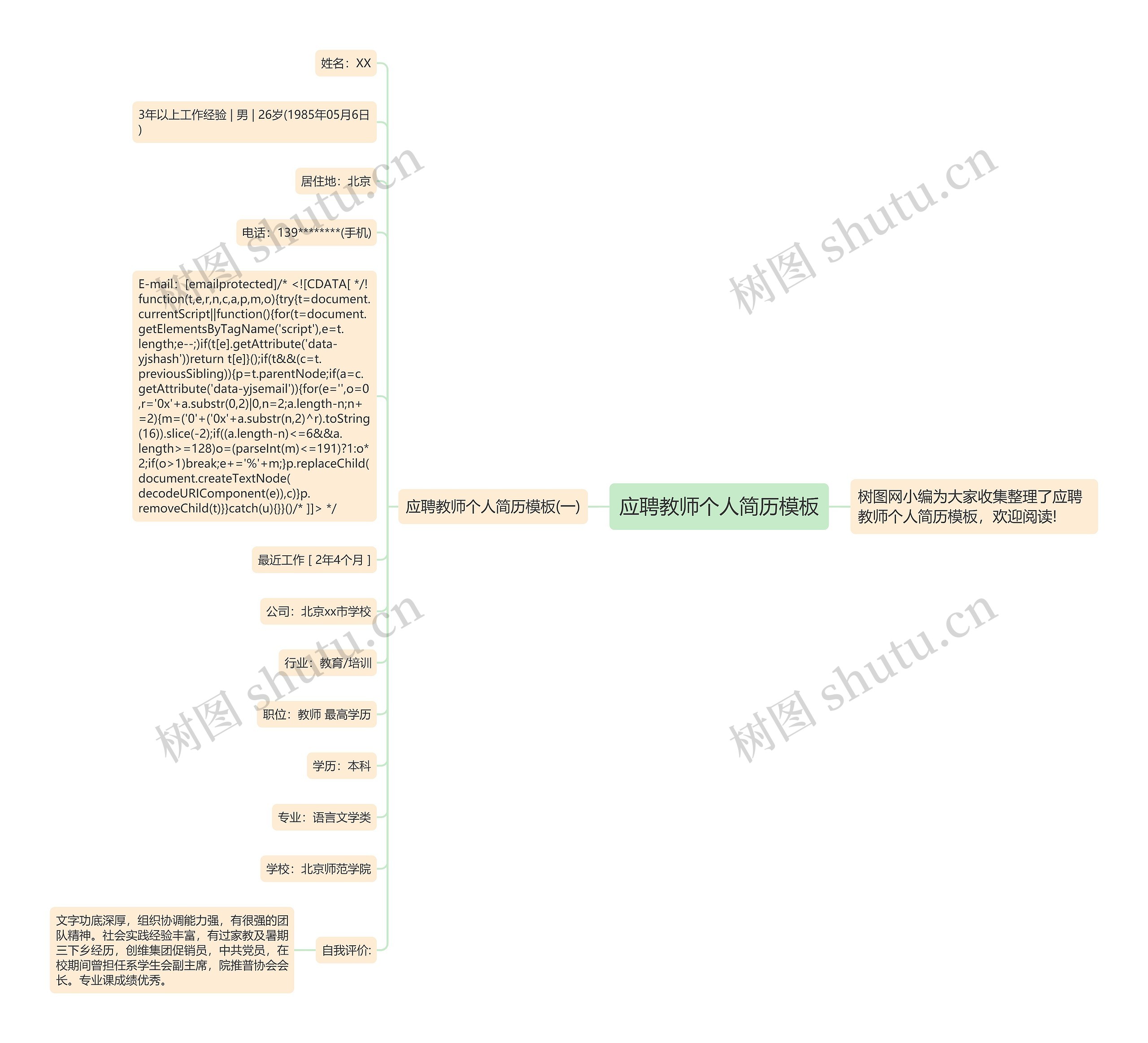 应聘教师个人简历思维导图