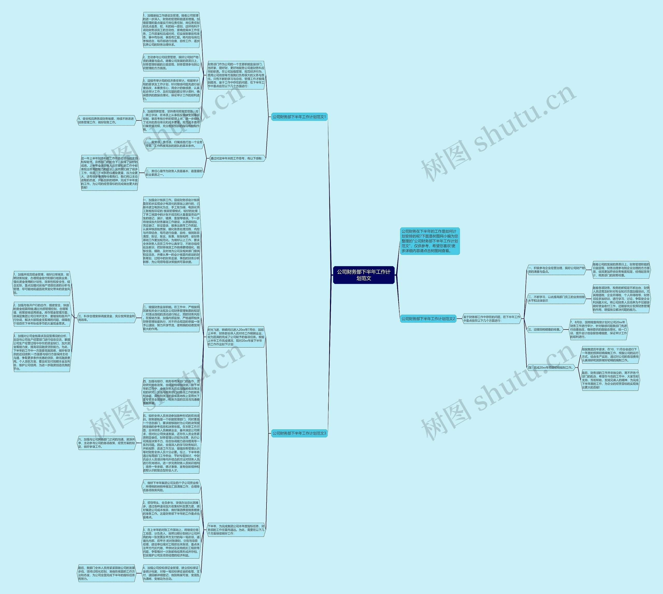 公司财务部下半年工作计划范文思维导图