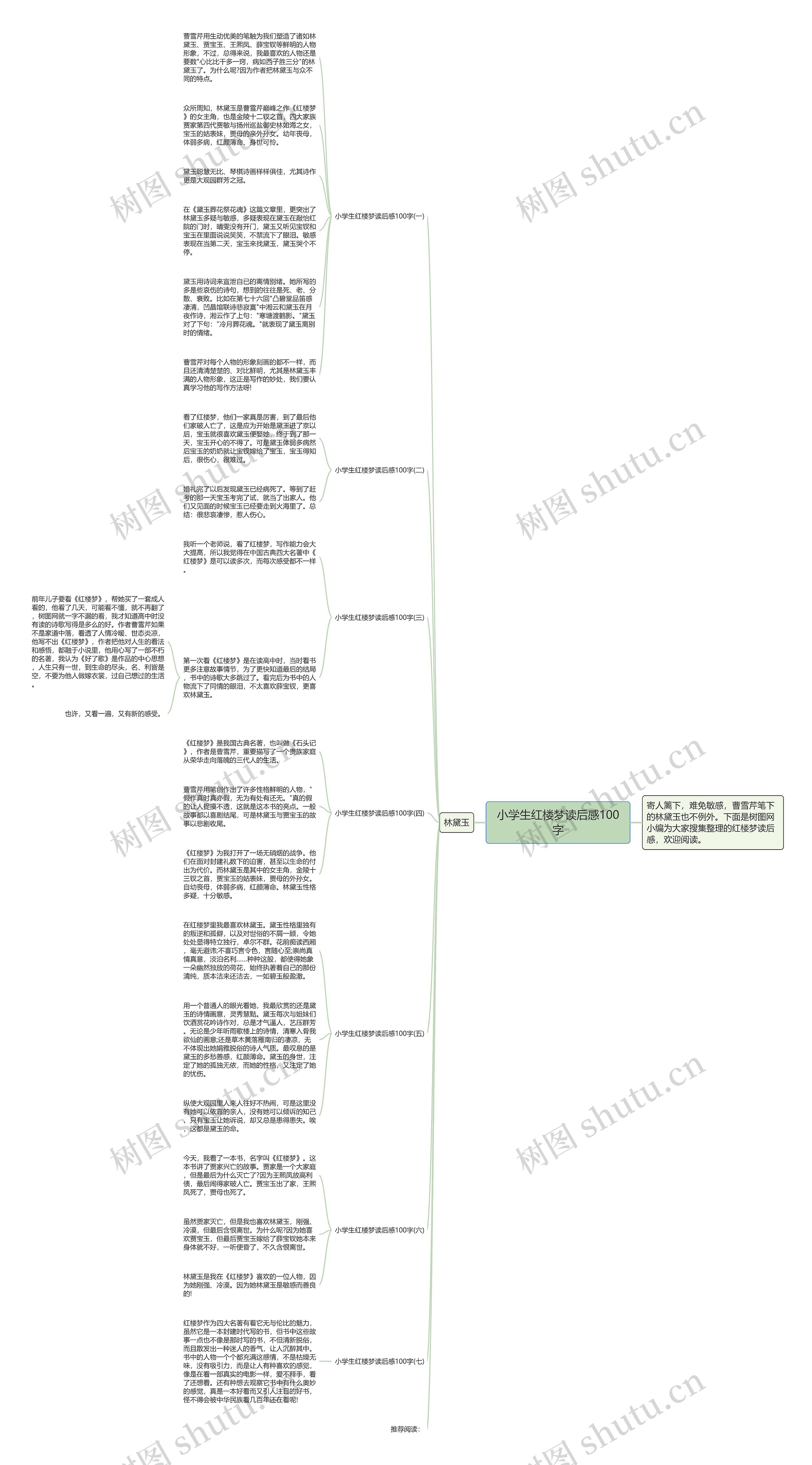 小学生红楼梦读后感100字思维导图