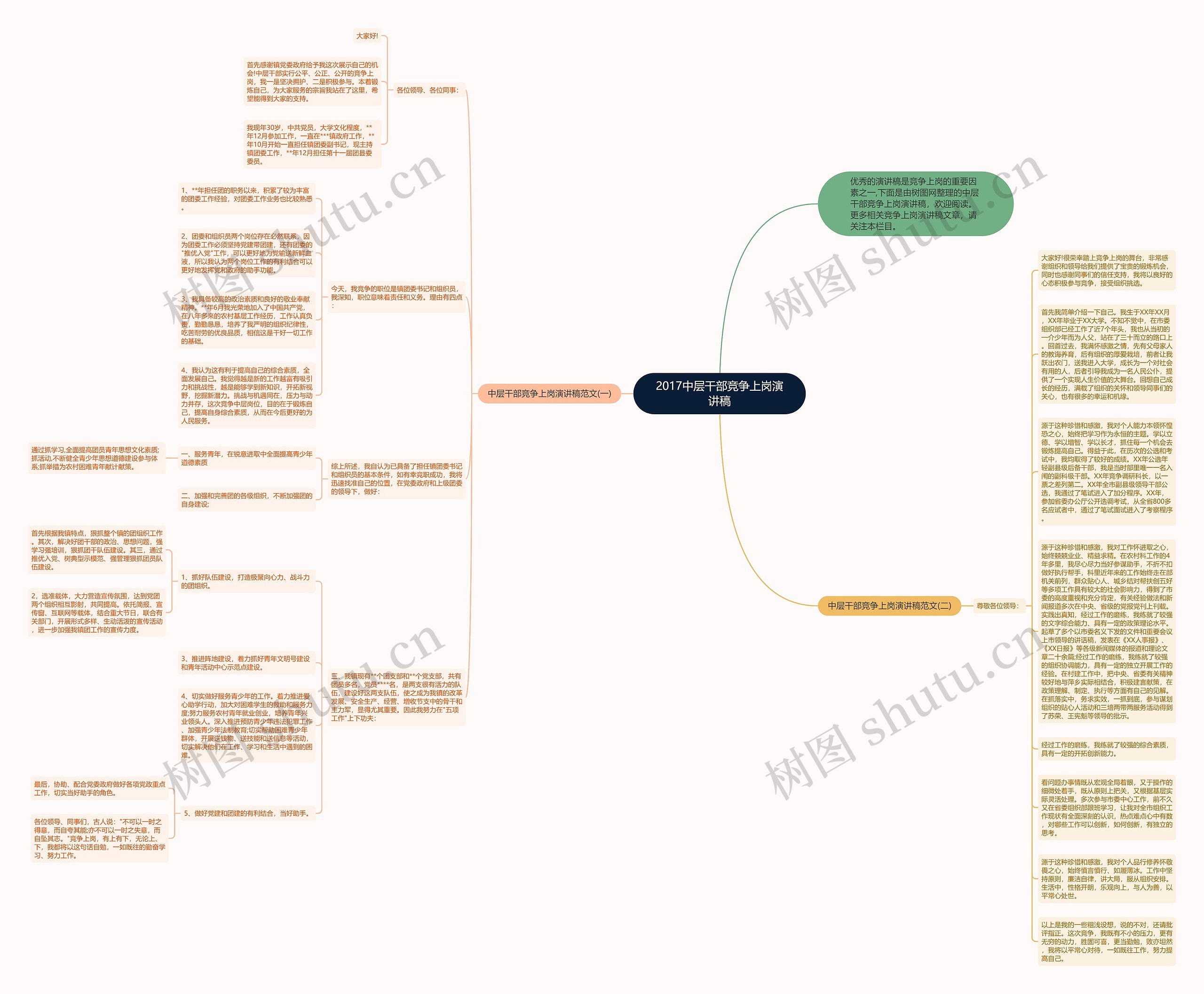 2017中层干部竞争上岗演讲稿思维导图