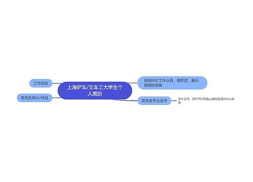 上海铲车/叉车工大学生个人简历