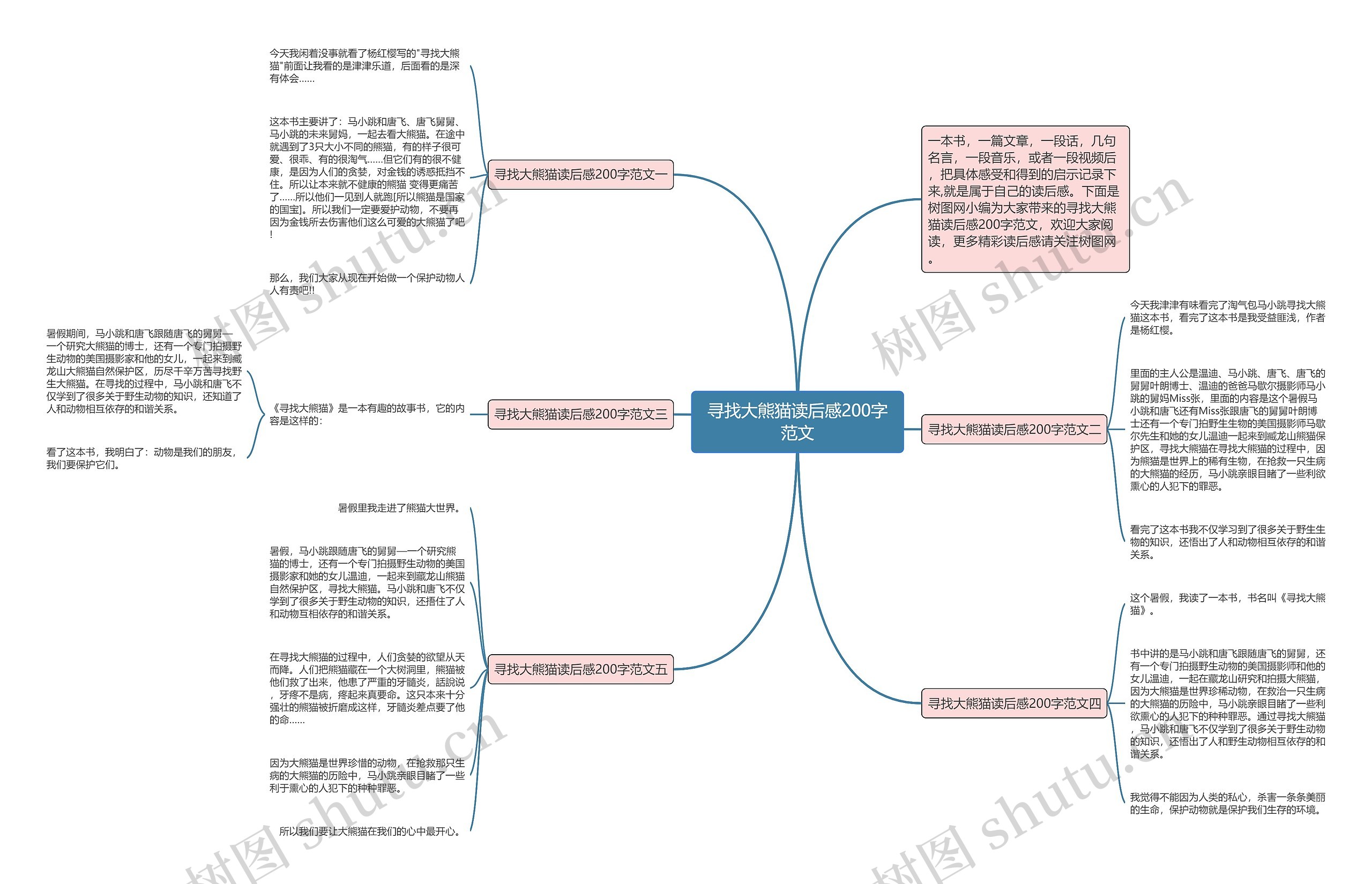 寻找大熊猫读后感200字范文思维导图