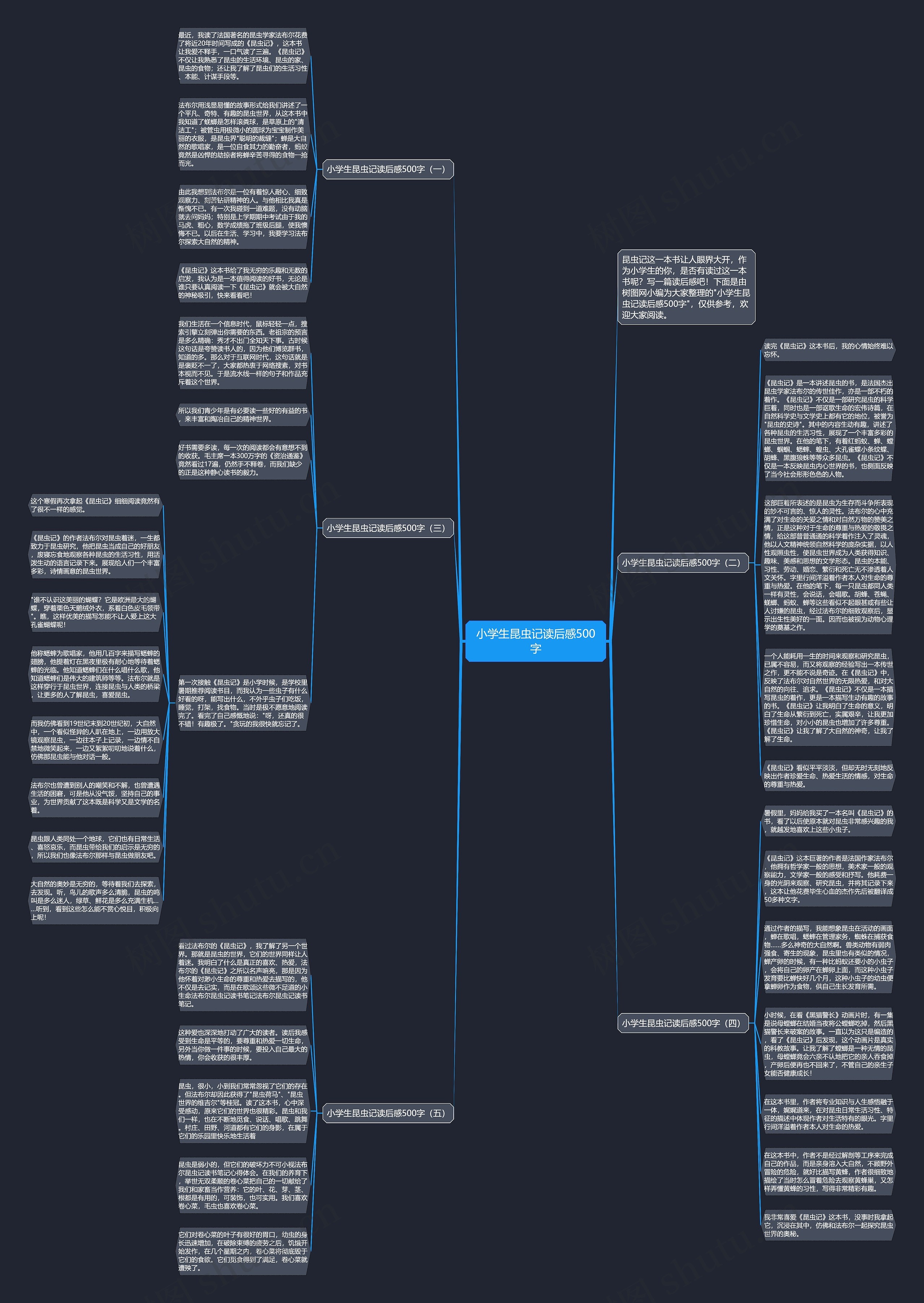 小学生昆虫记读后感500字思维导图