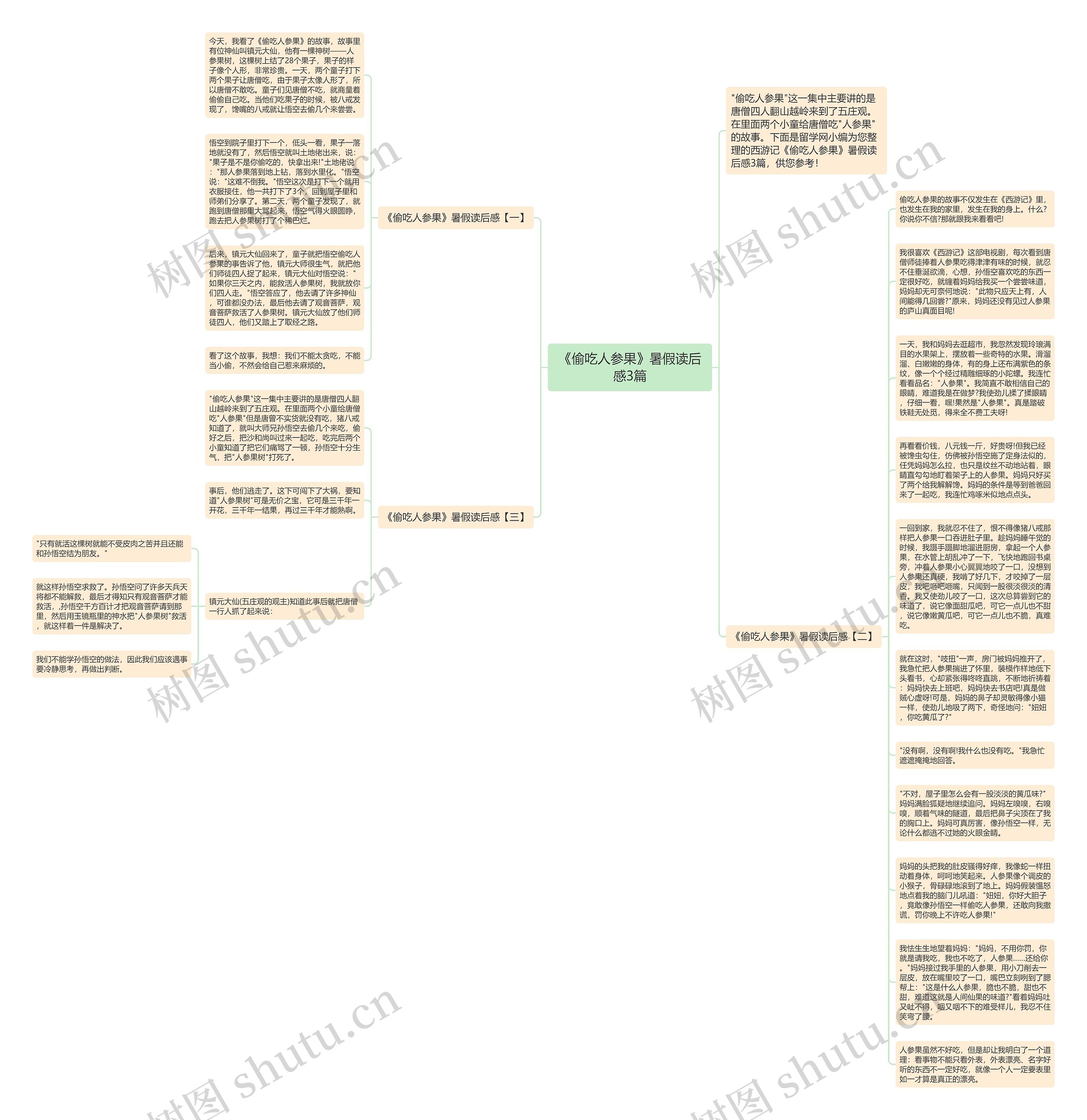 《偷吃人参果》暑假读后感3篇思维导图