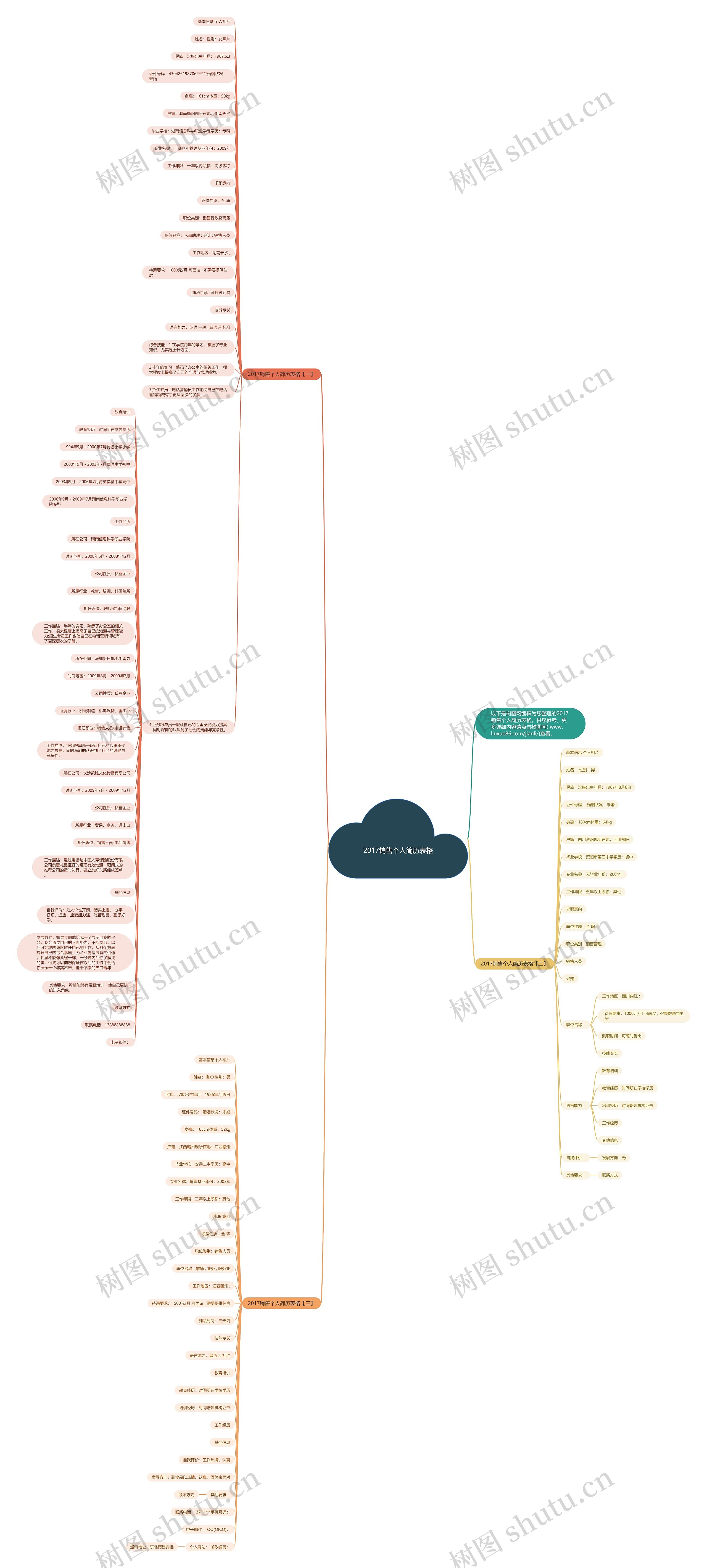 2017销售个人简历表格思维导图