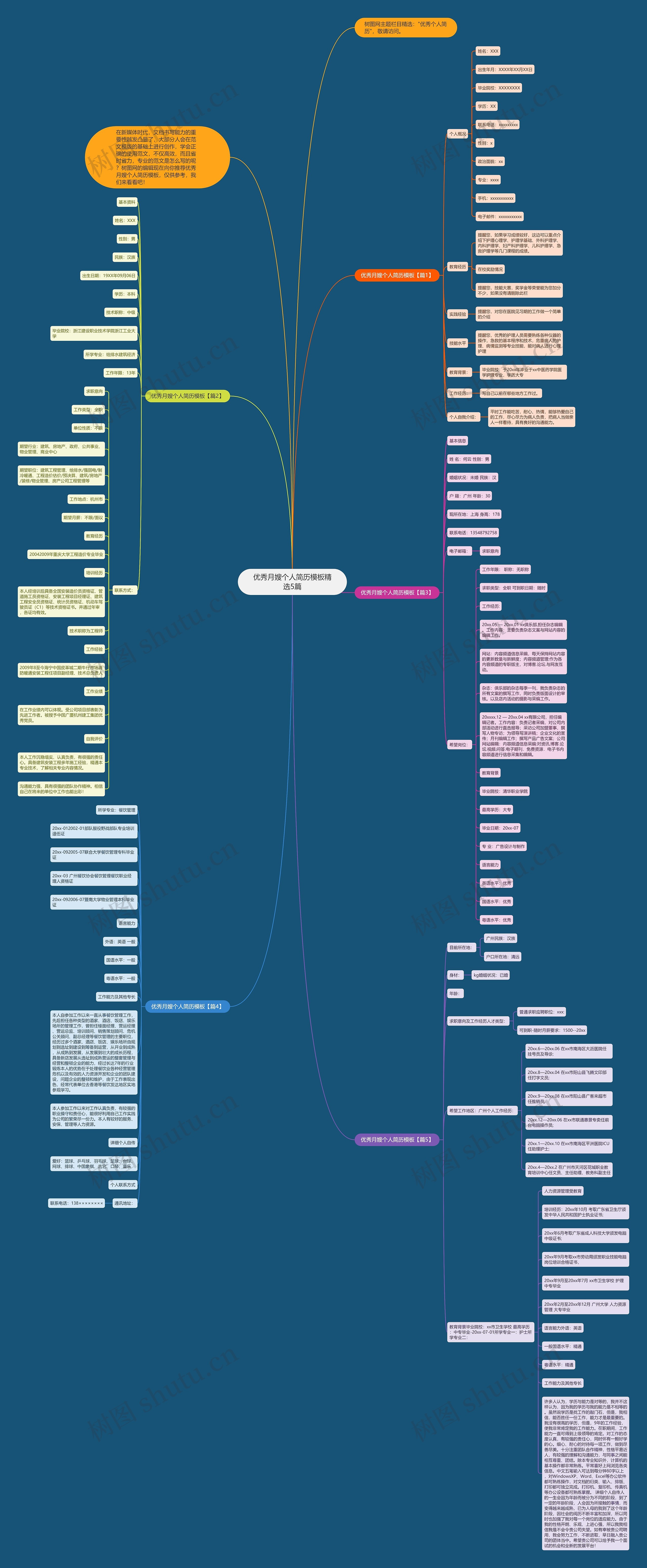 优秀月嫂个人简历精选5篇思维导图