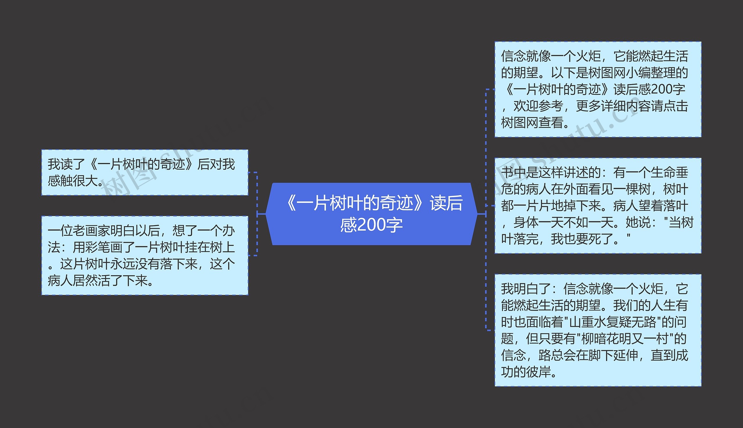 《一片树叶的奇迹》读后感200字思维导图