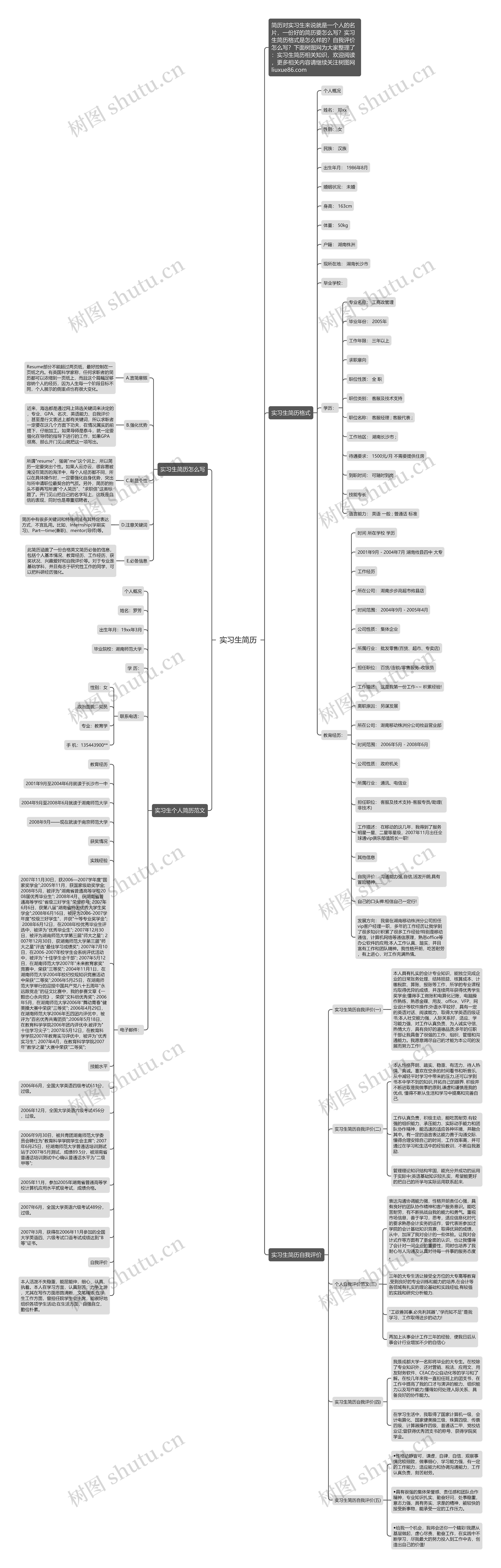 实习生简历思维导图