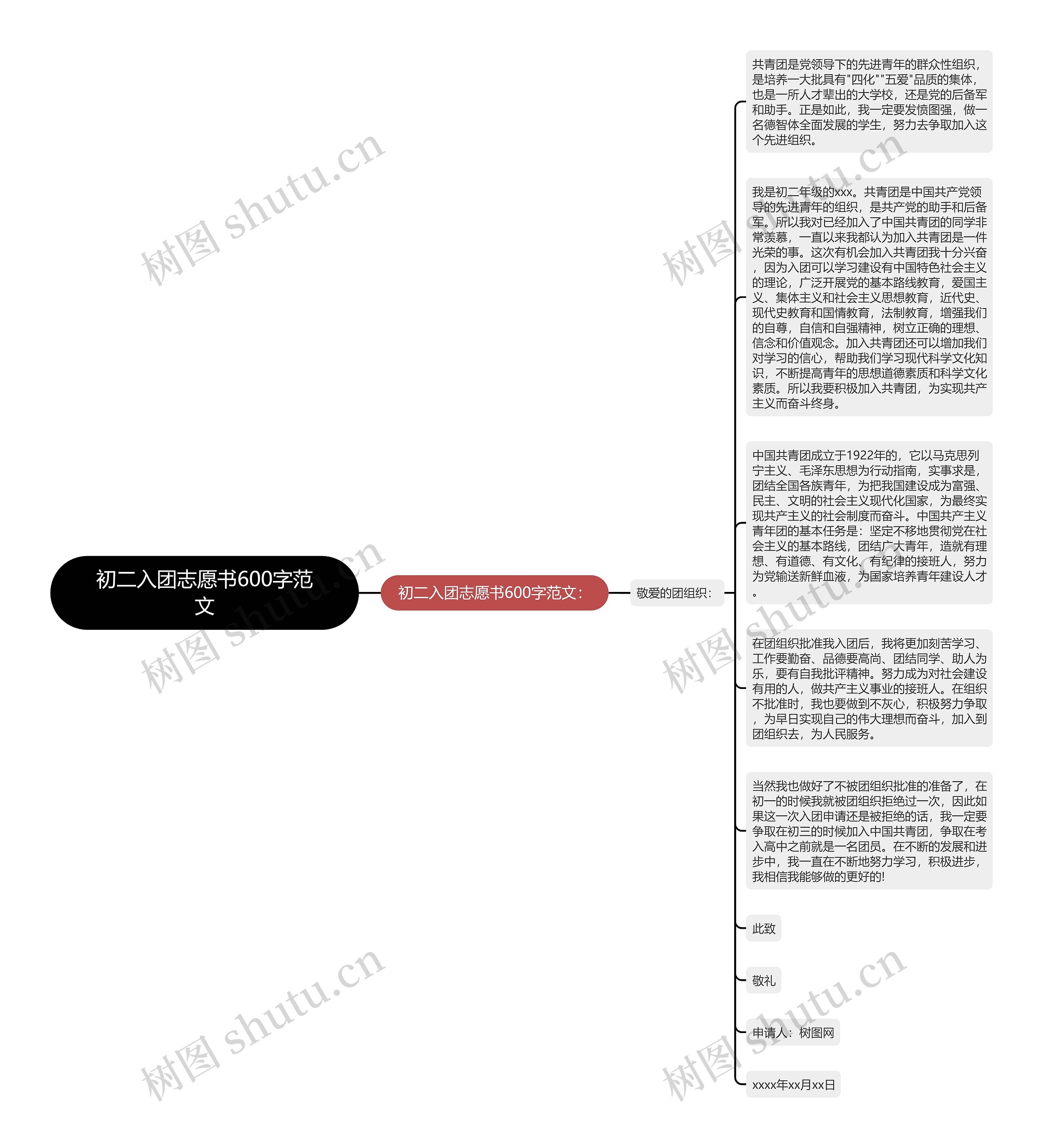 初二入团志愿书600字范文