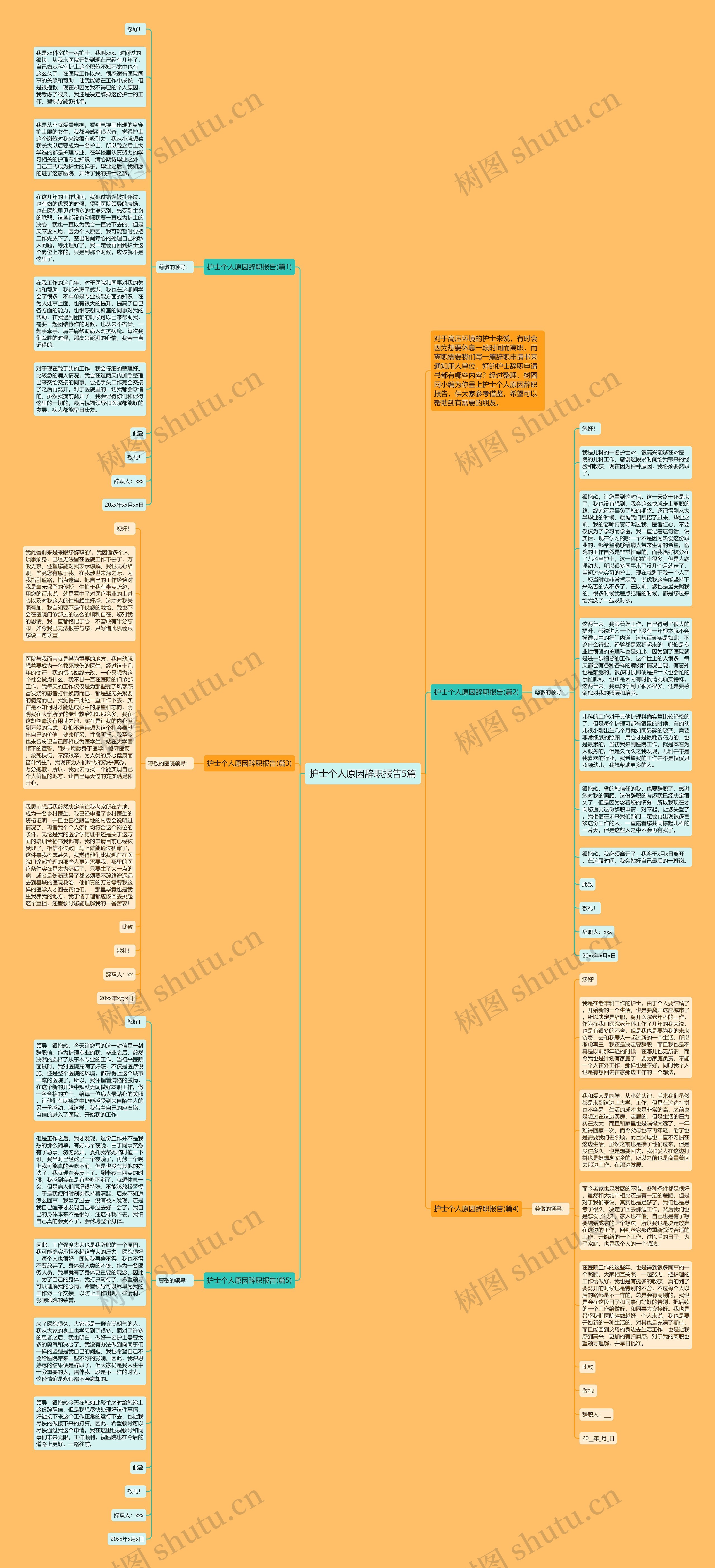 护士个人原因辞职报告5篇思维导图