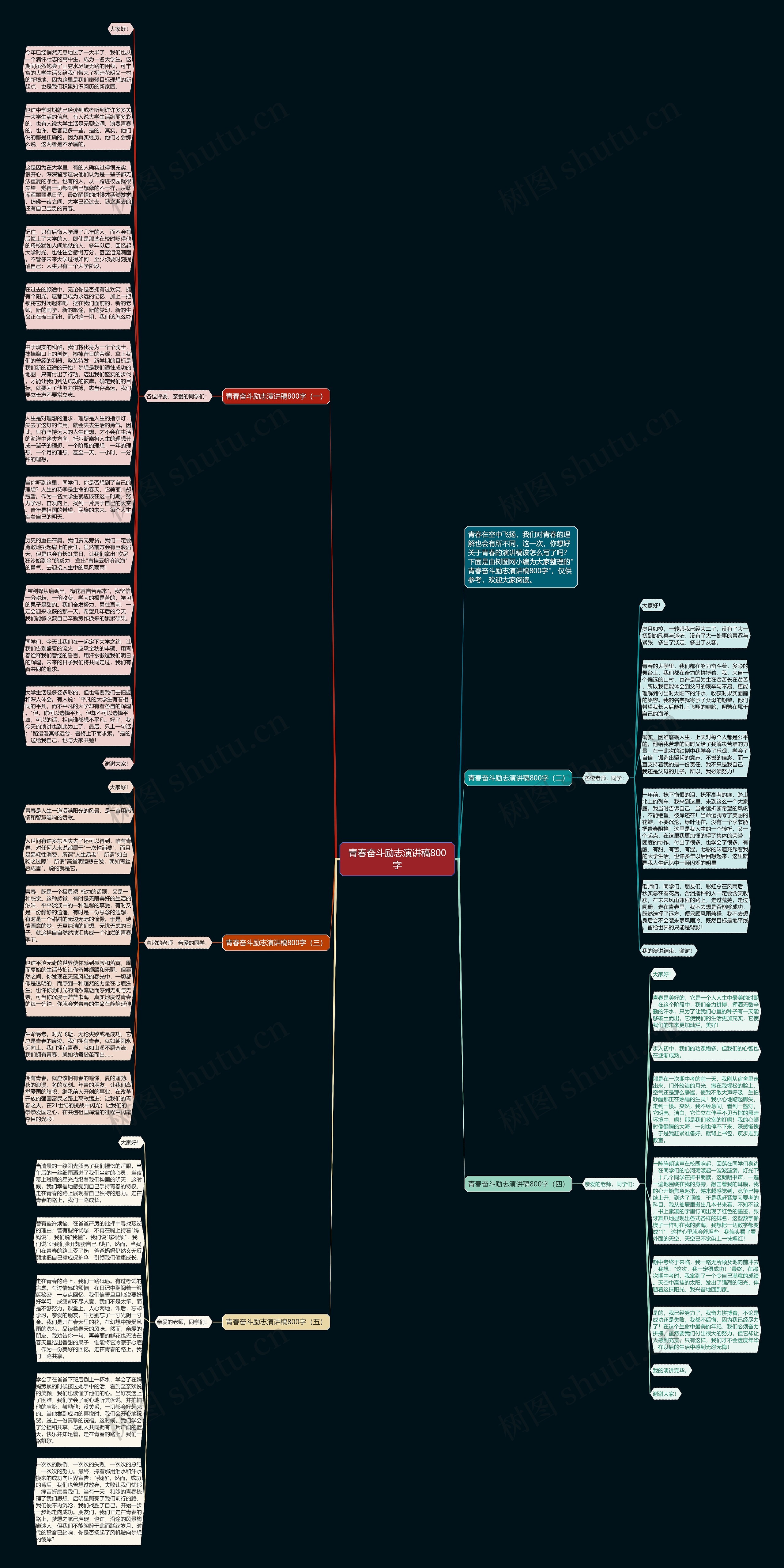 青春奋斗励志演讲稿800字思维导图