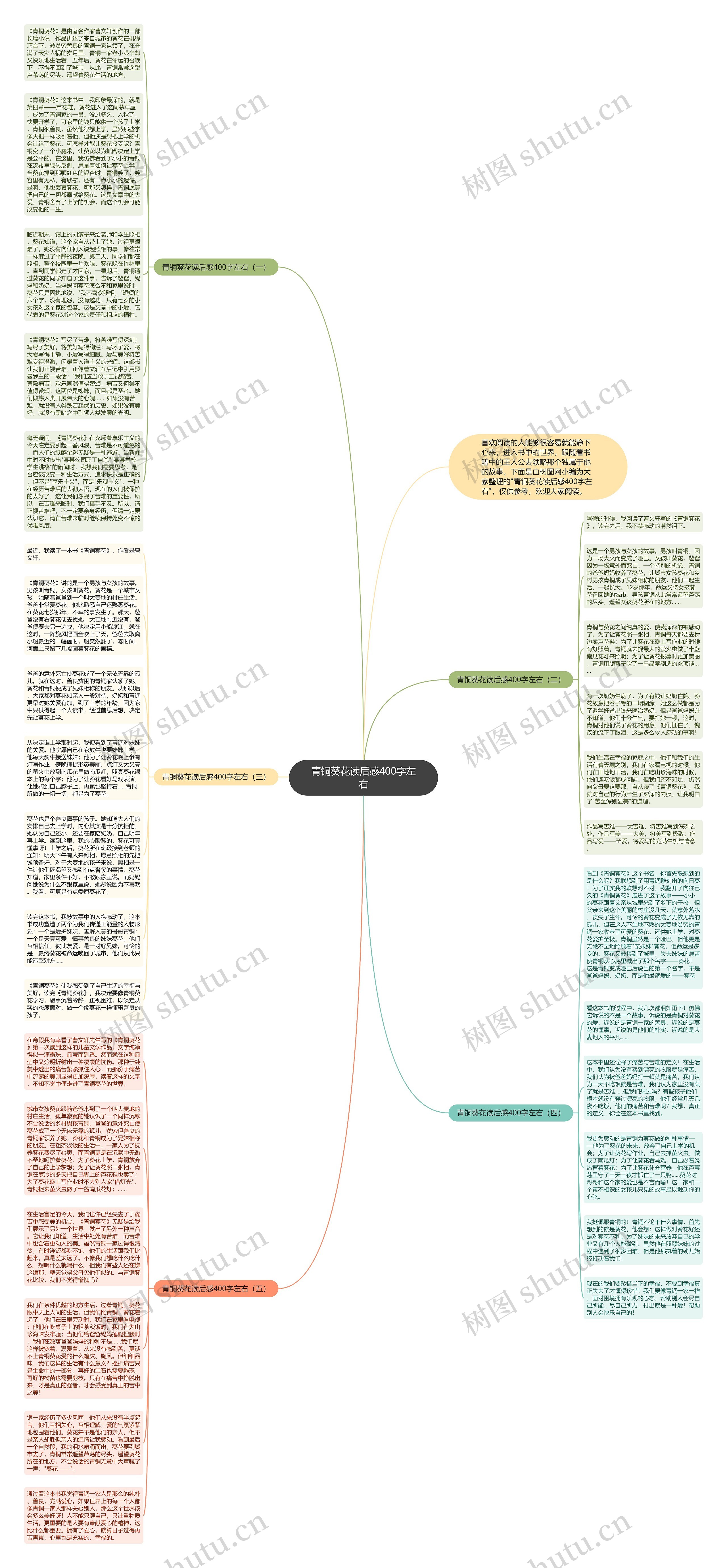 青铜葵花读后感400字左右思维导图