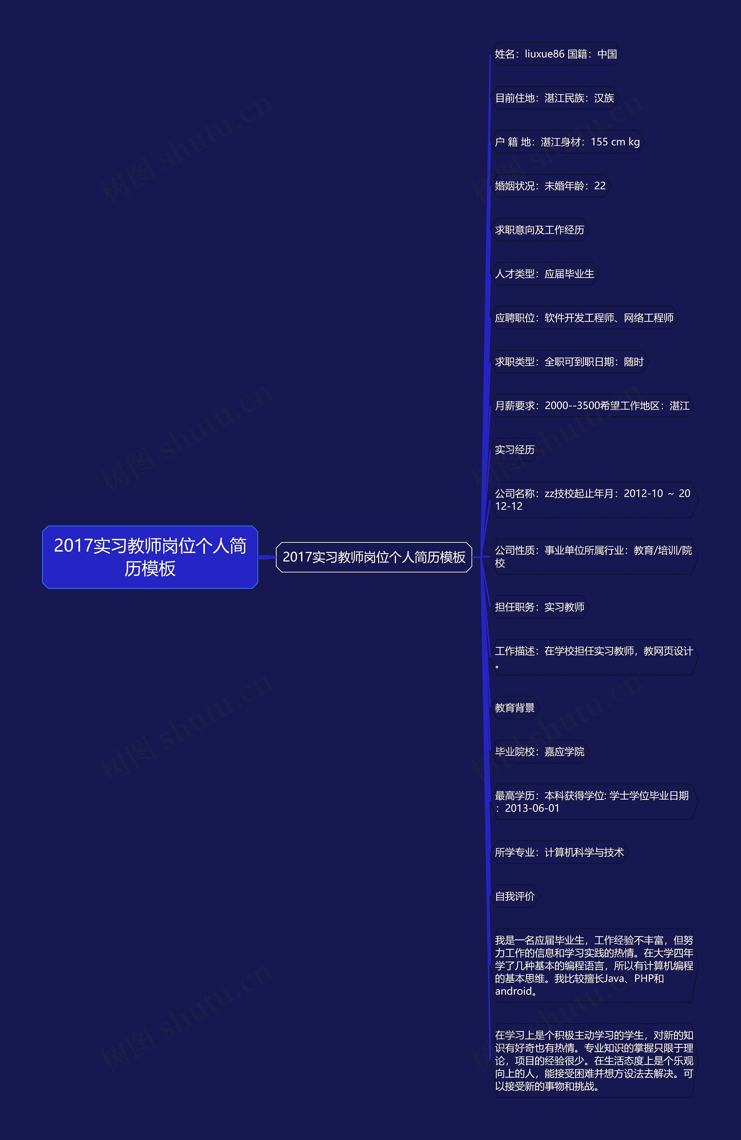 2017实习教师岗位个人简历模板