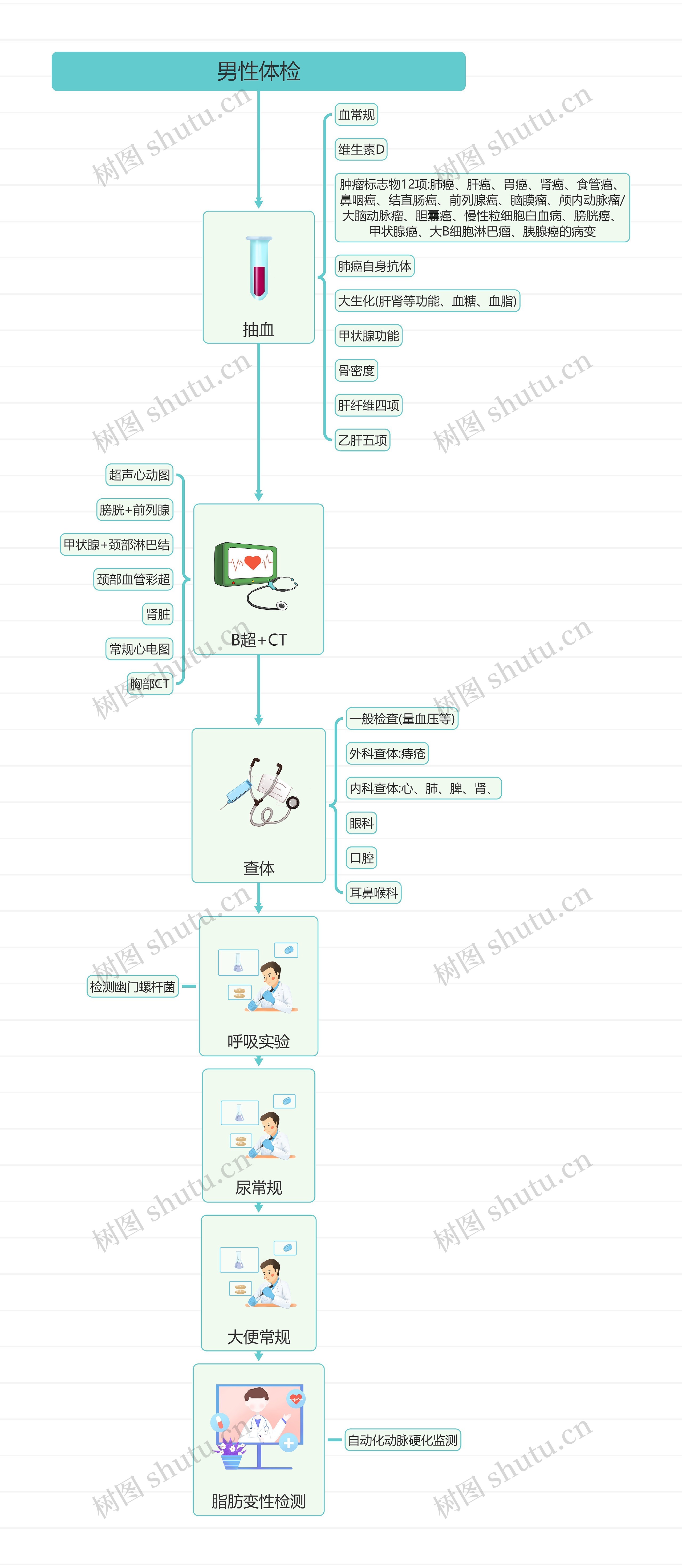 男性体检思维导图