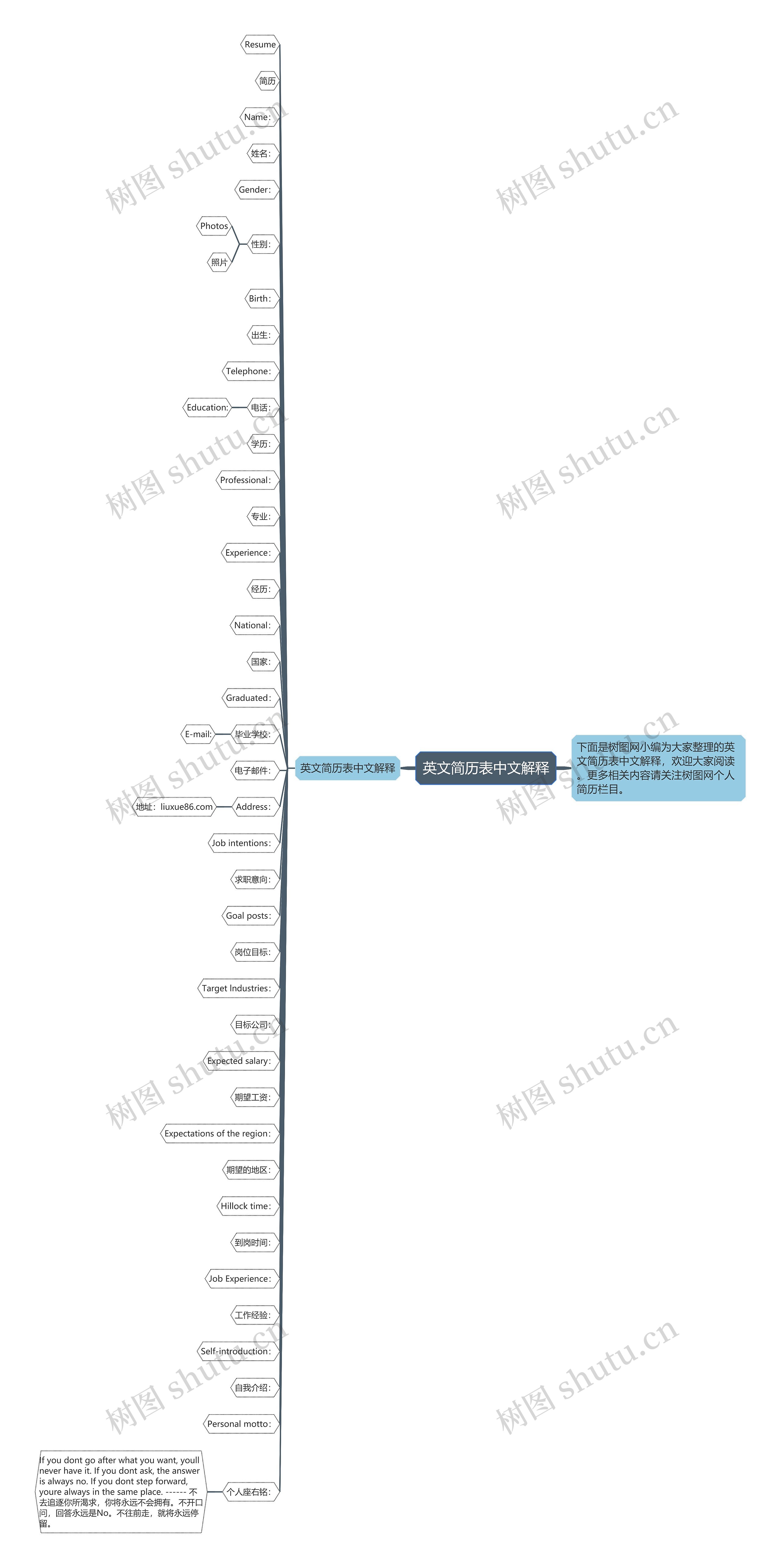 英文简历表中文解释思维导图