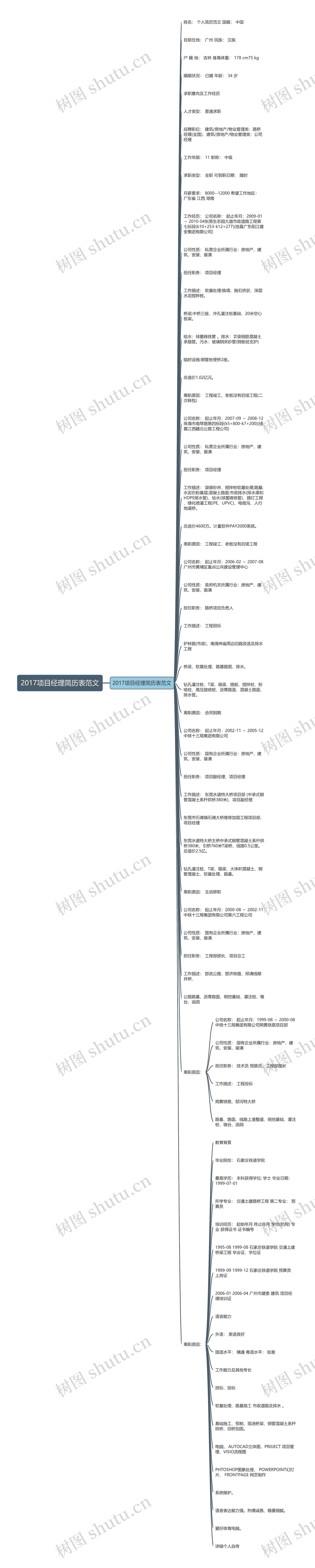 2017项目经理简历表范文思维导图