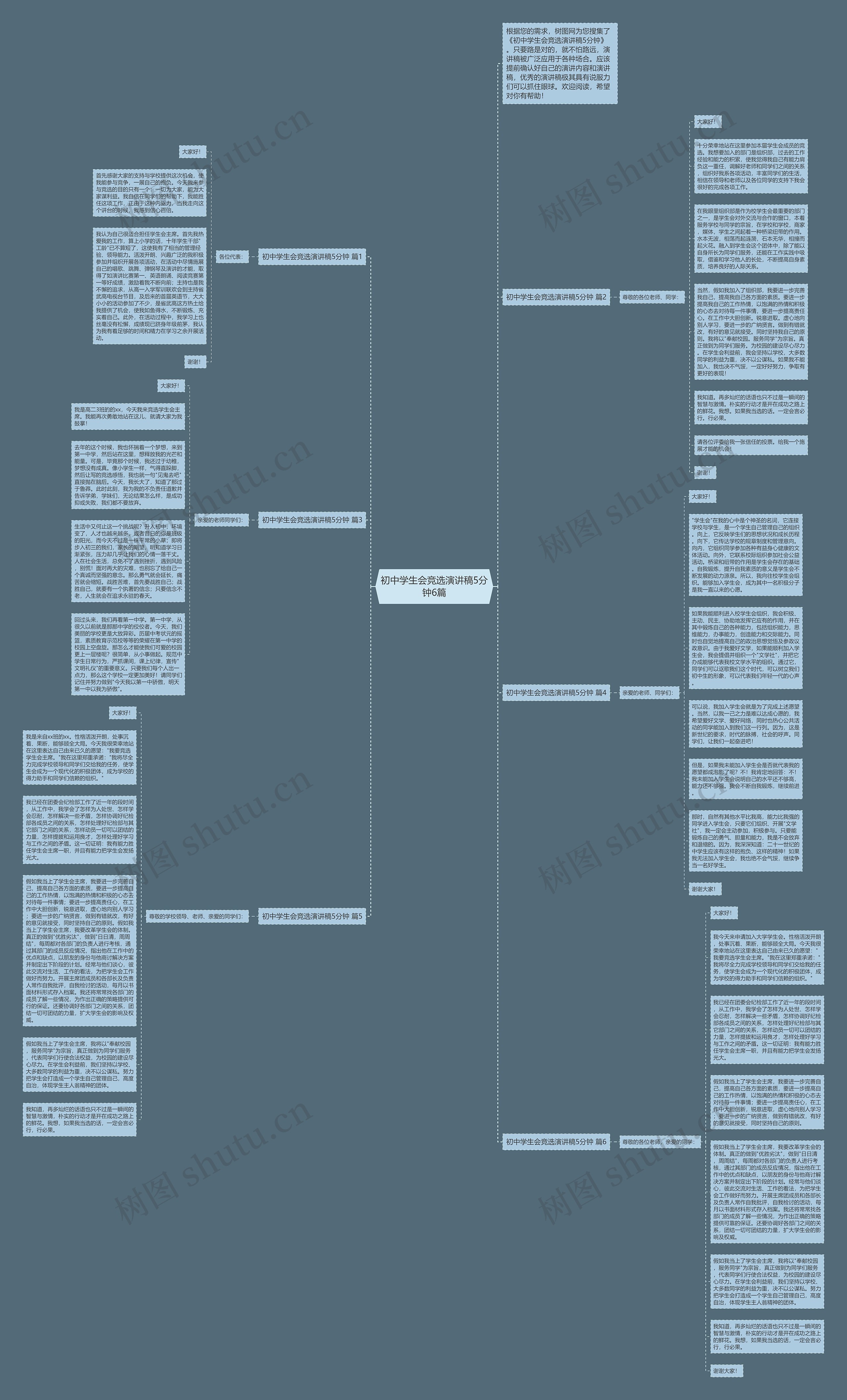 初中学生会竞选演讲稿5分钟6篇思维导图