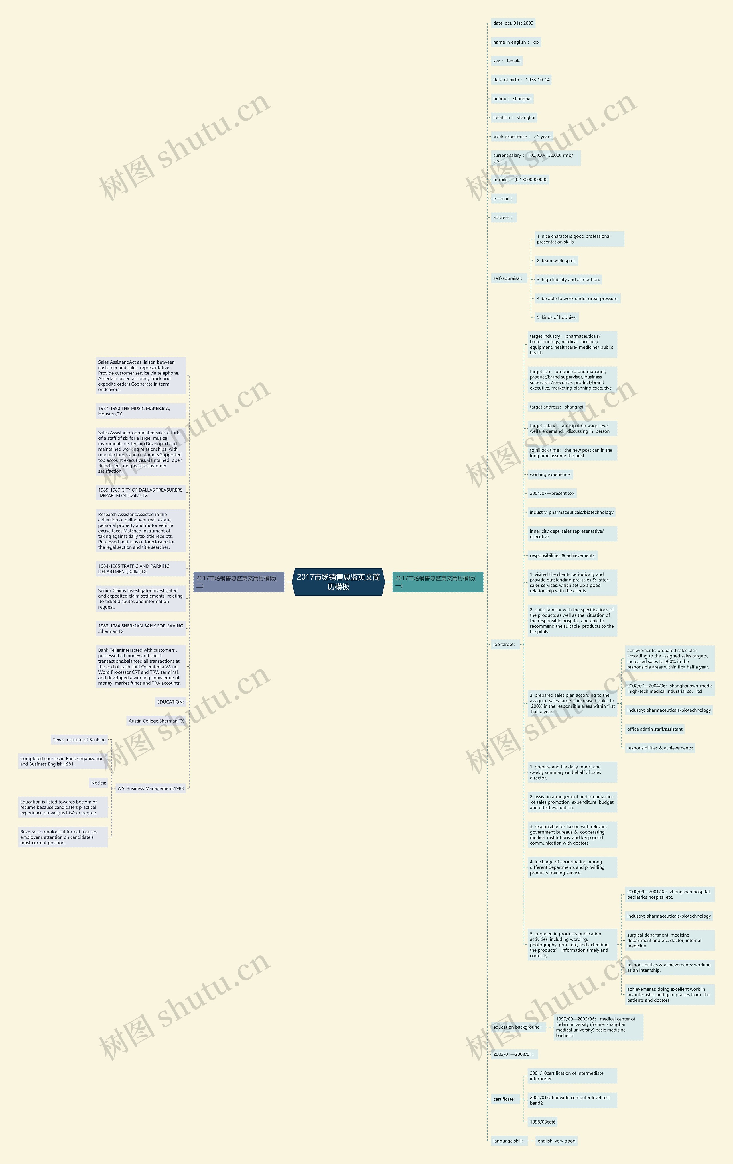 2017市场销售总监英文简历思维导图