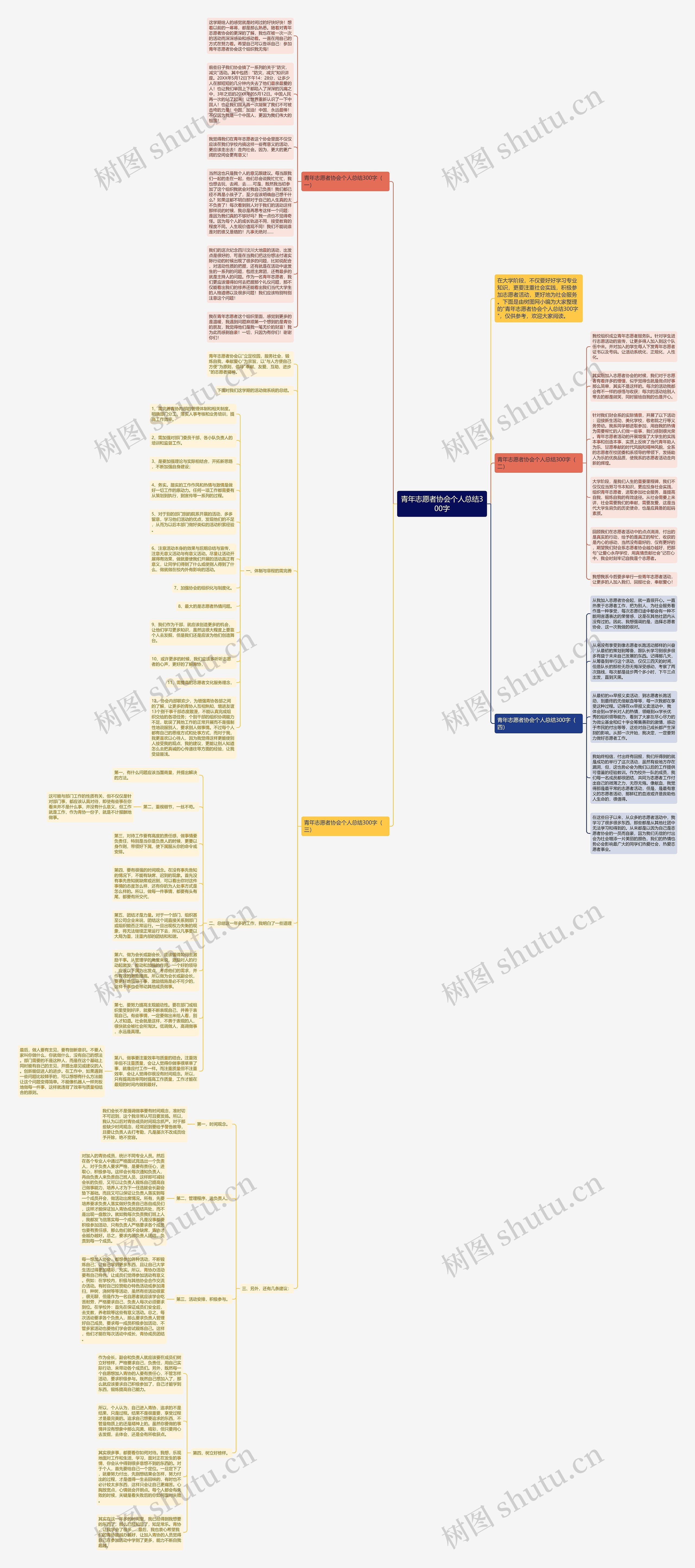 青年志愿者协会个人总结300字