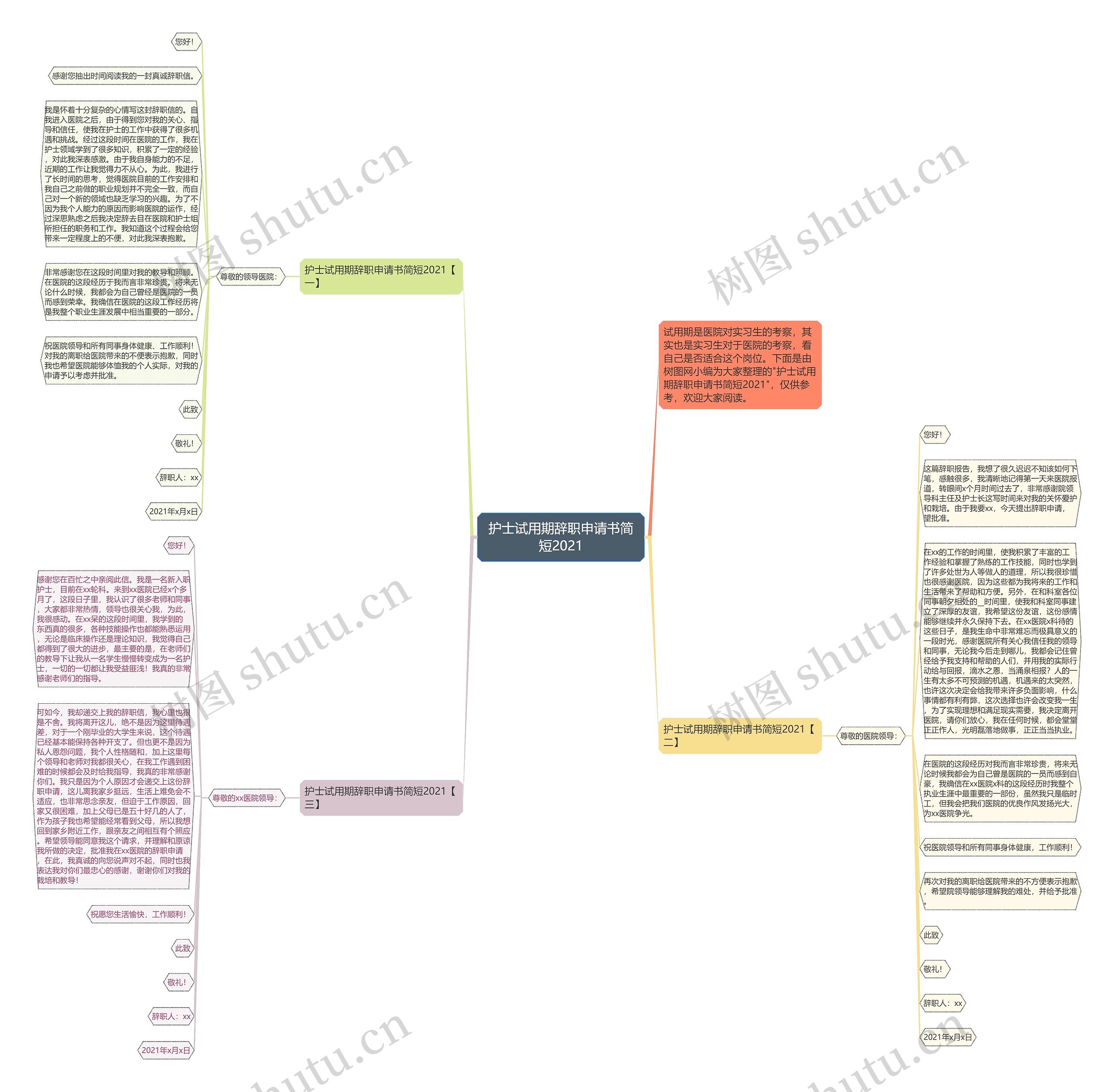 护士试用期辞职申请书简短2021思维导图