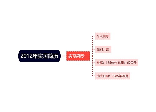 2012年实习简历