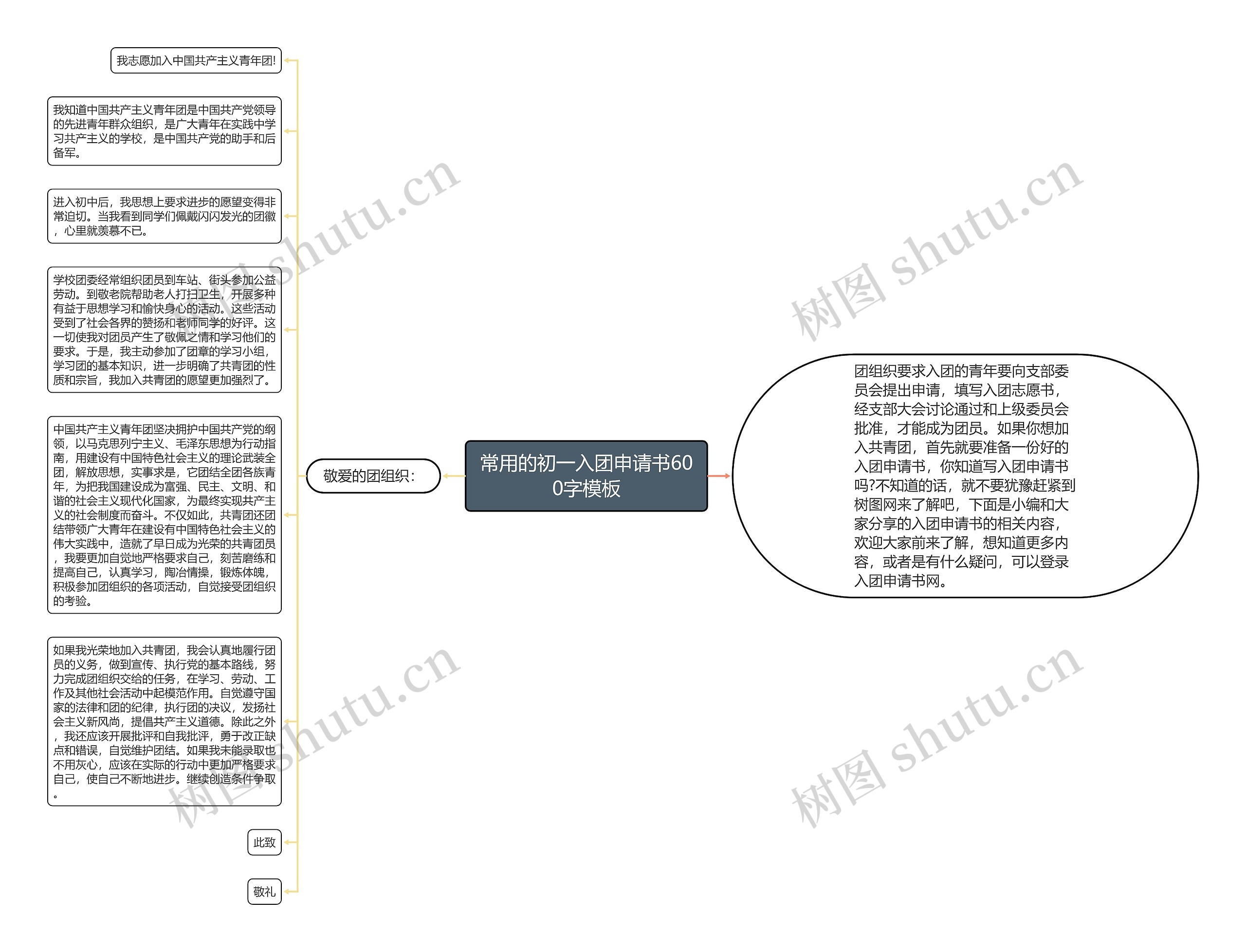 常用的初一入团申请书600字模板