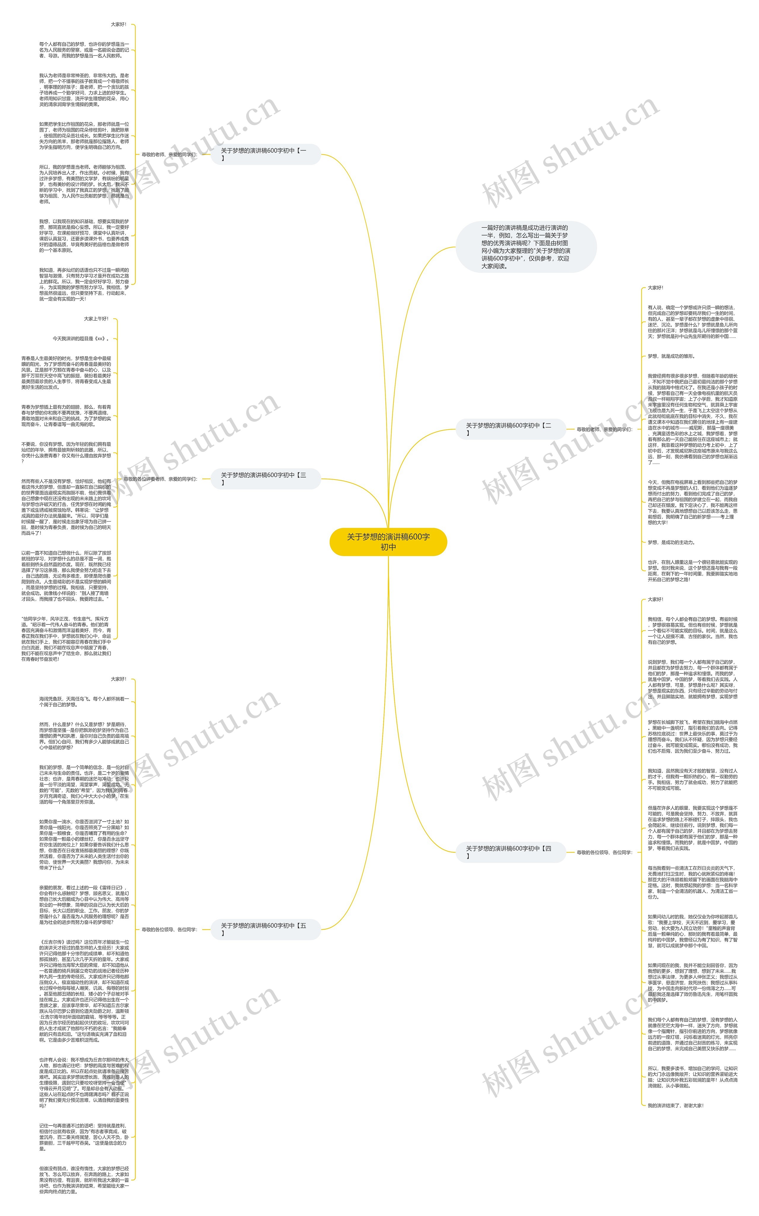 关于梦想的演讲稿600字初中思维导图