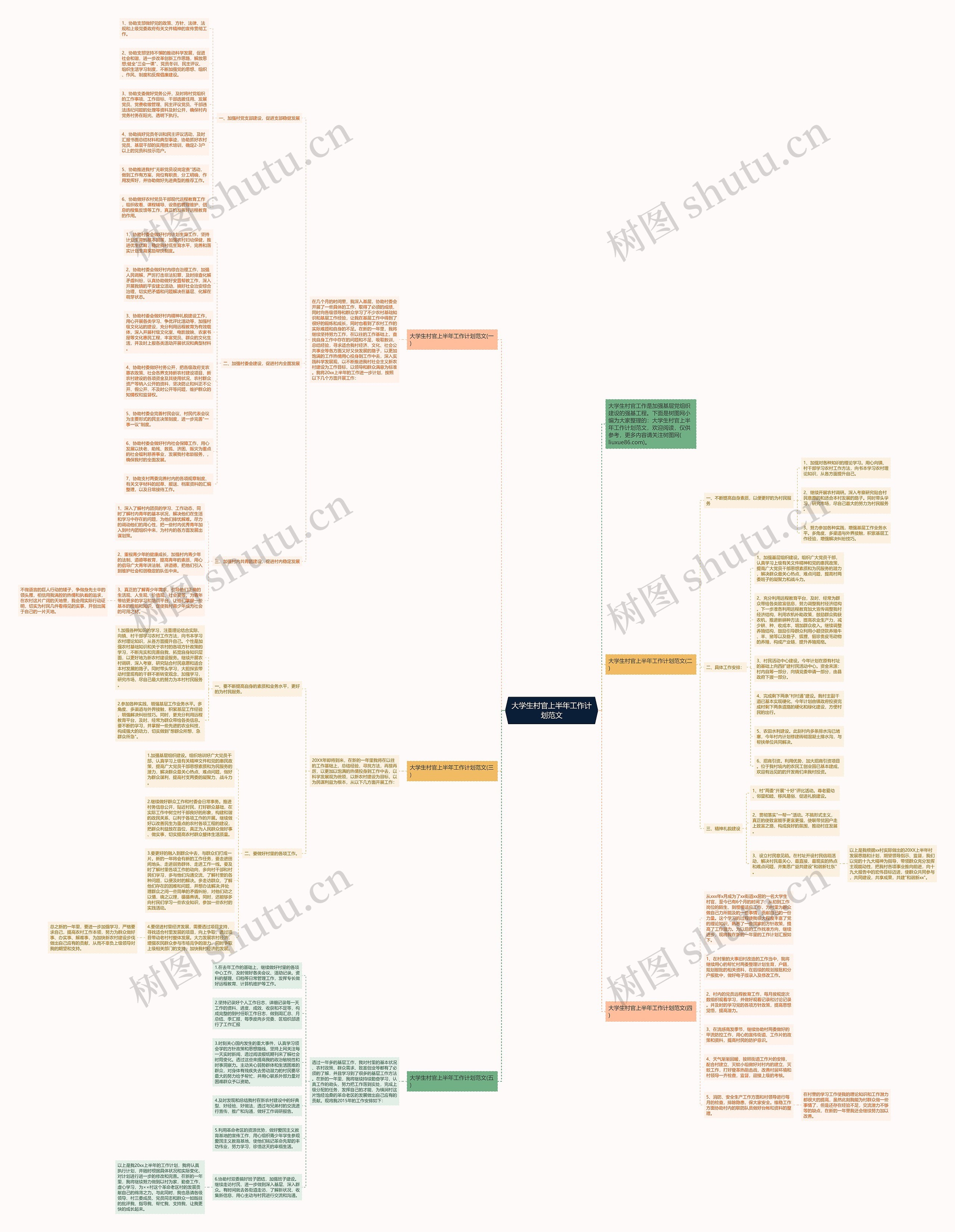 大学生村官上半年工作计划范文思维导图