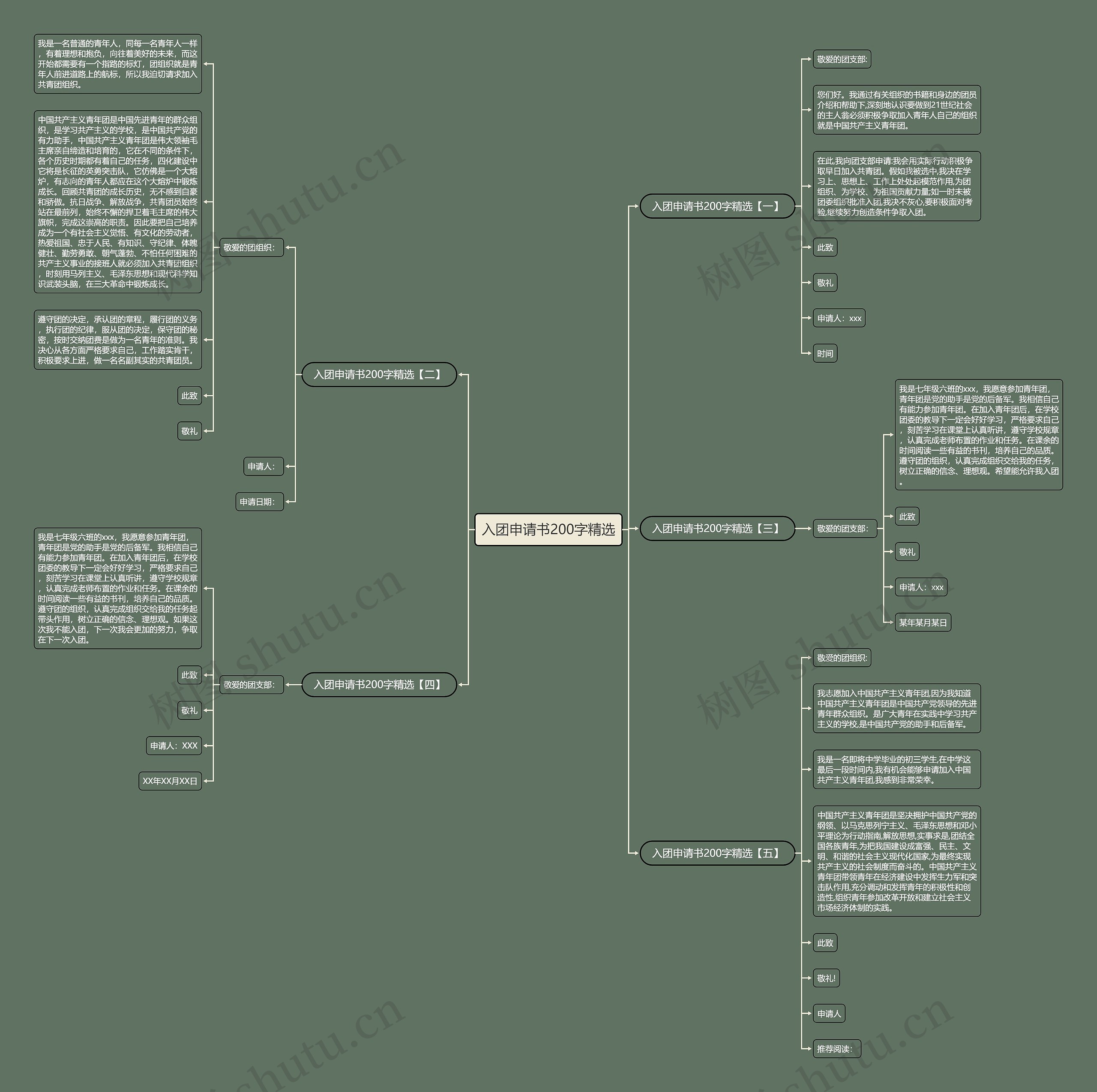 入团申请书200字精选思维导图