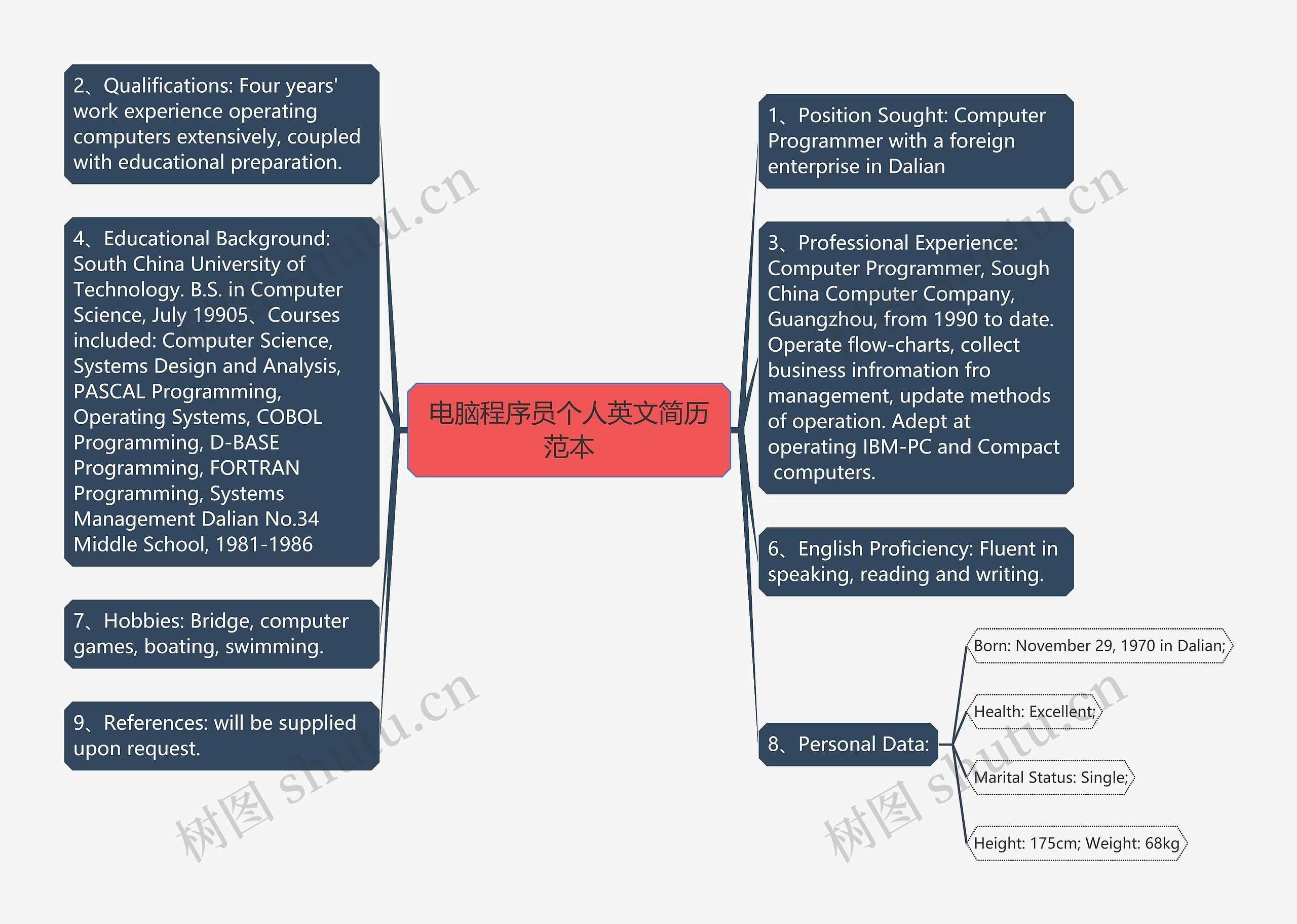 电脑程序员个人英文简历范本思维导图