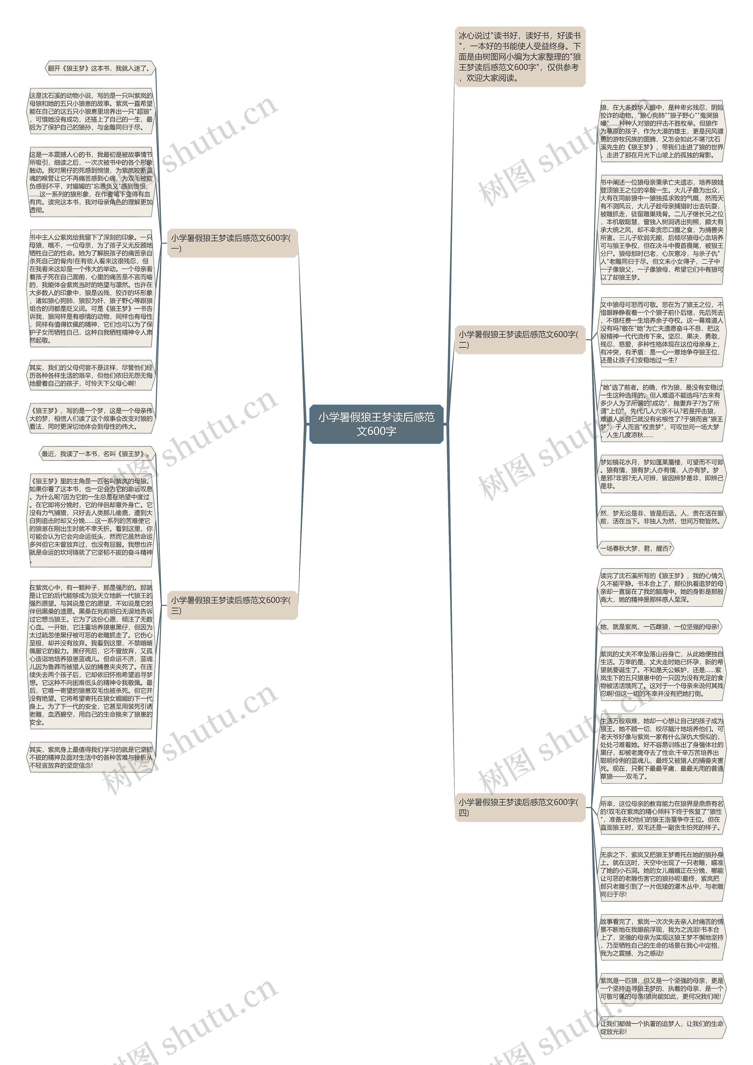 小学暑假狼王梦读后感范文600字思维导图